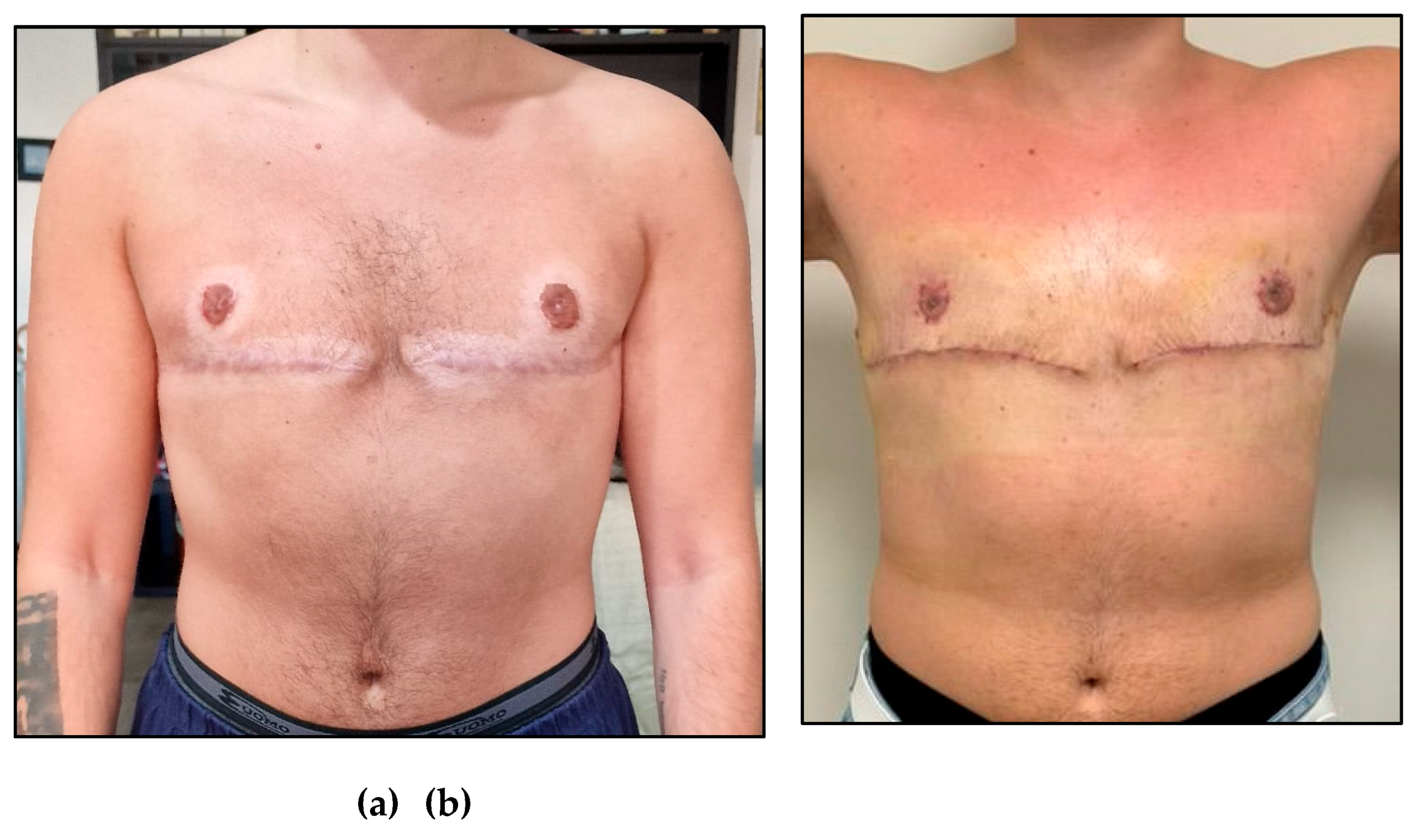 Preprints 166444 g003