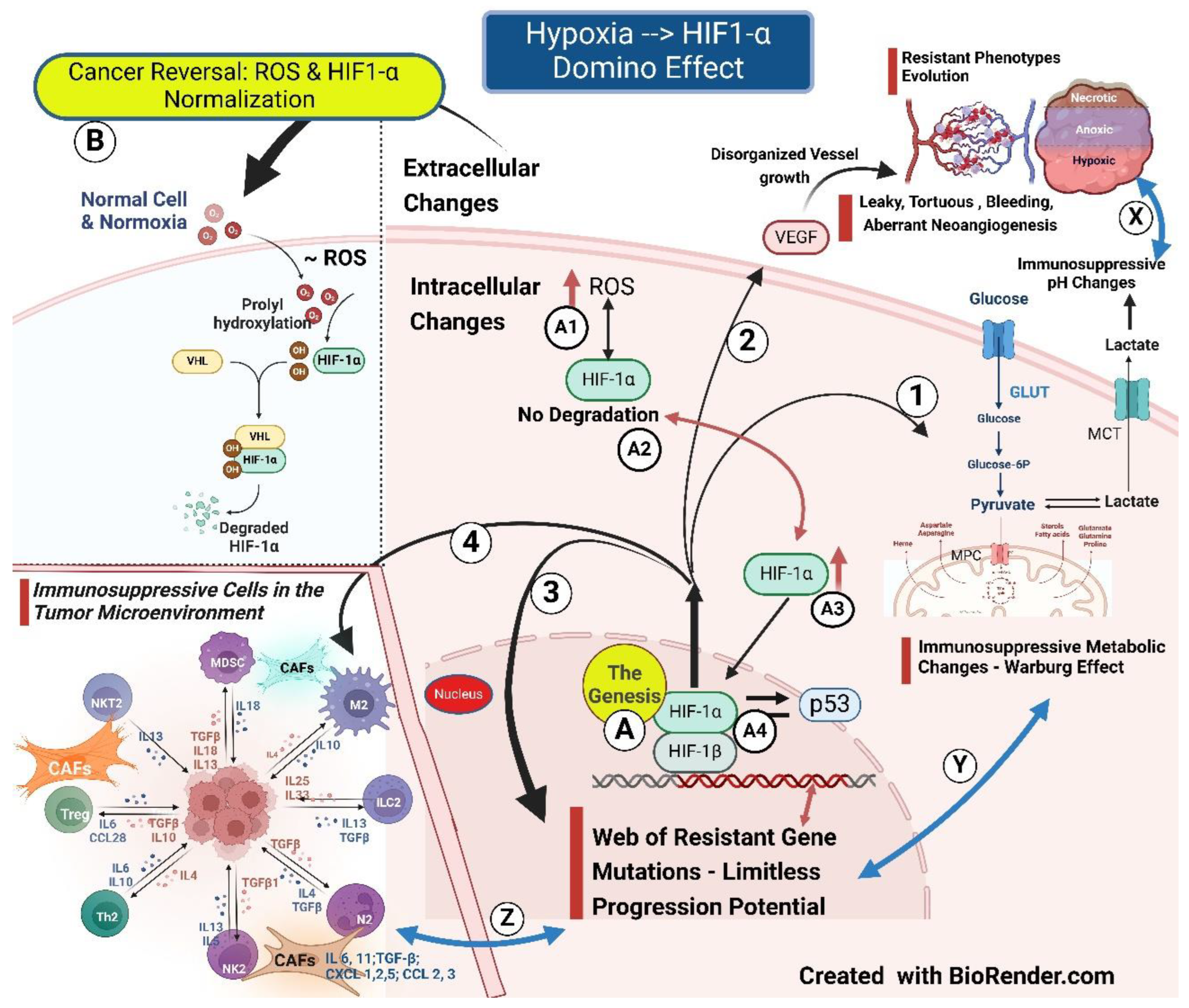 Preprints 140663 g001