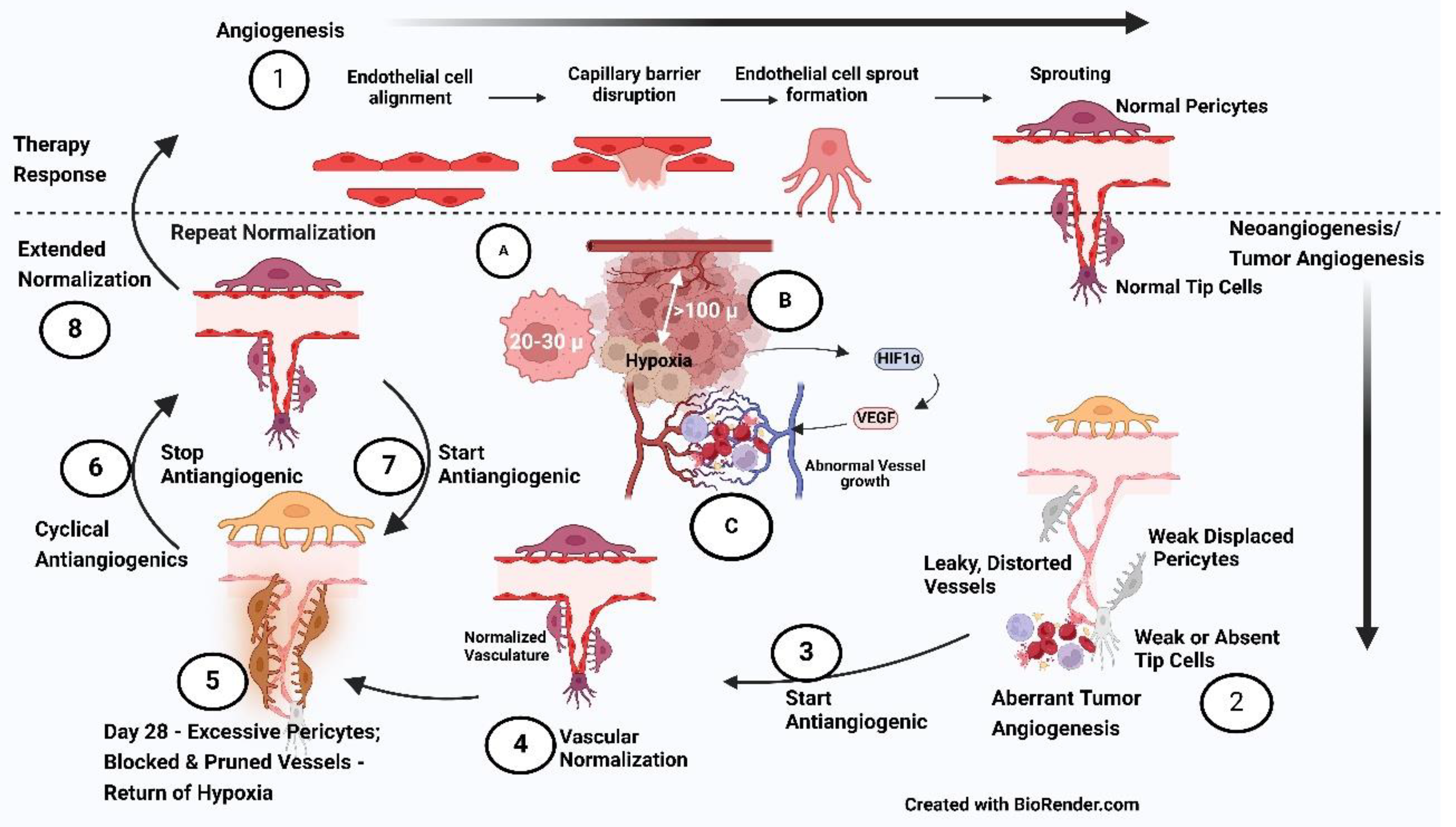 Preprints 140663 g002