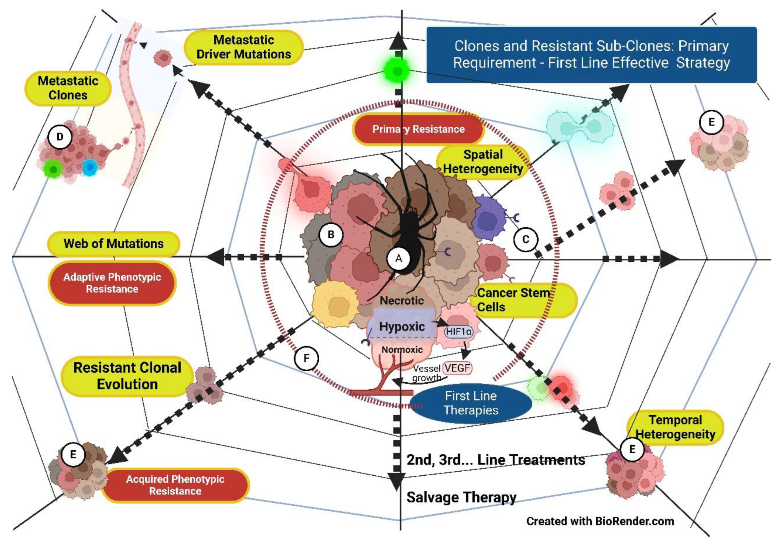 Preprints 140663 g003