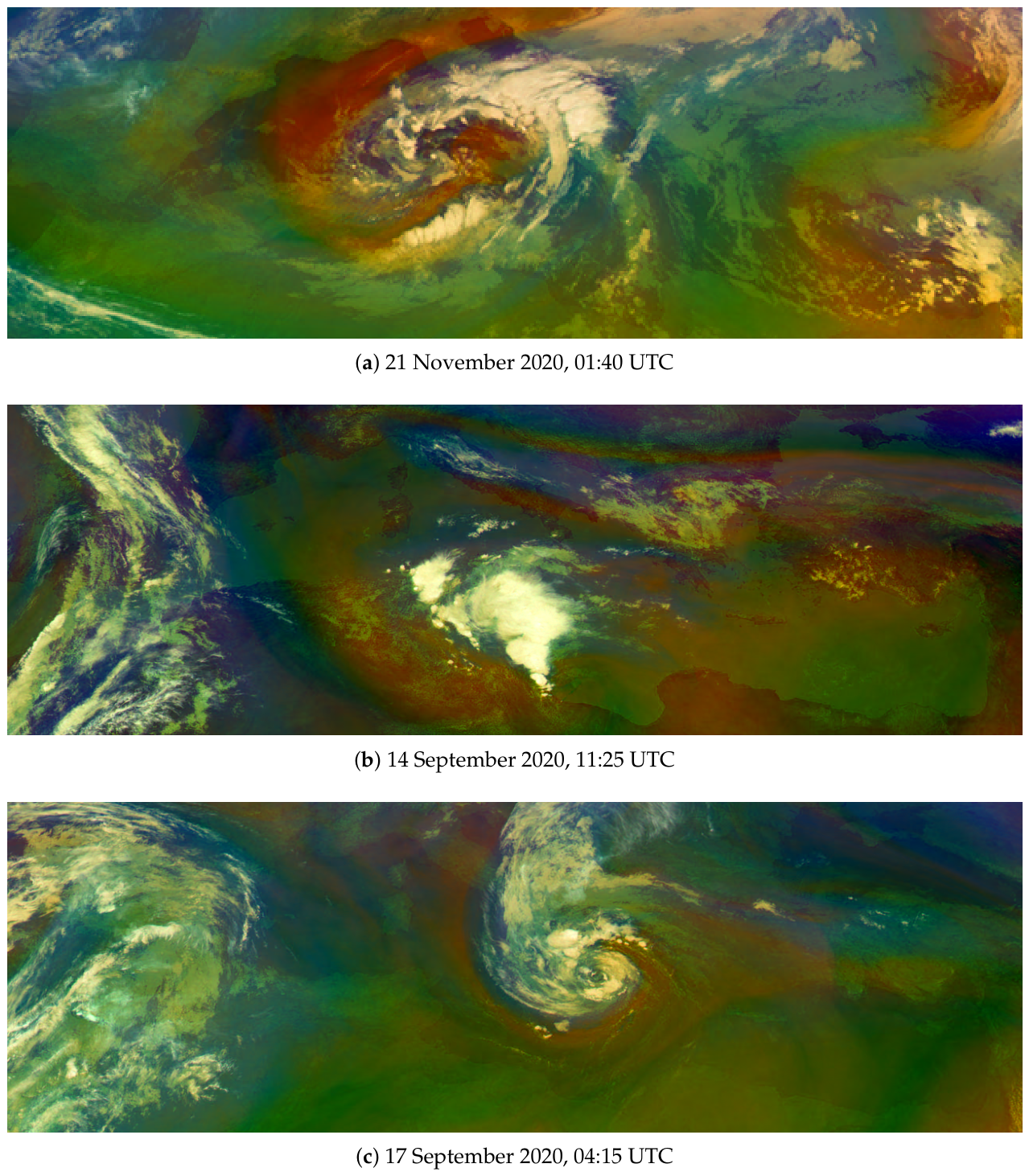 Preprints 214513 g001