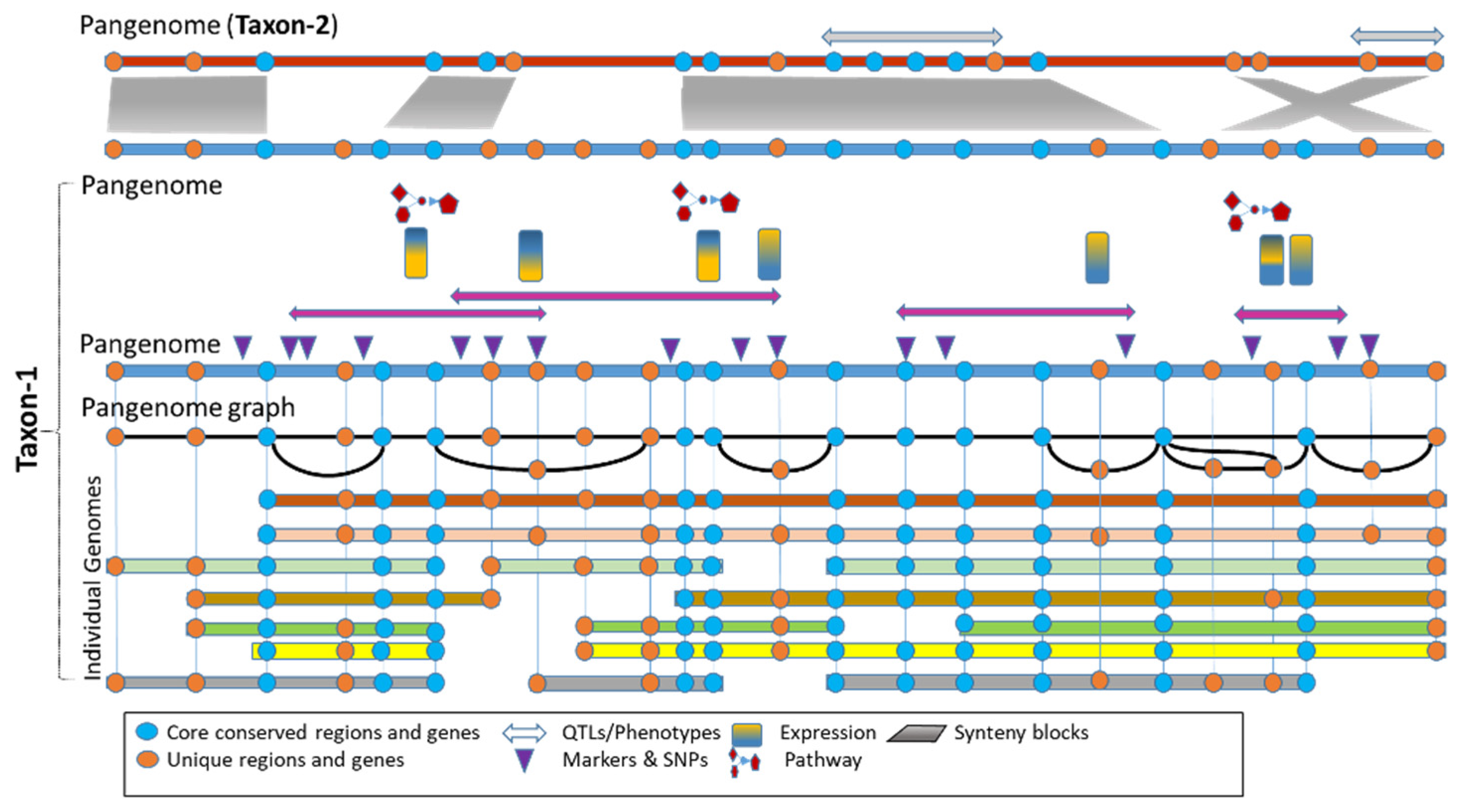 Preprints 82974 g003