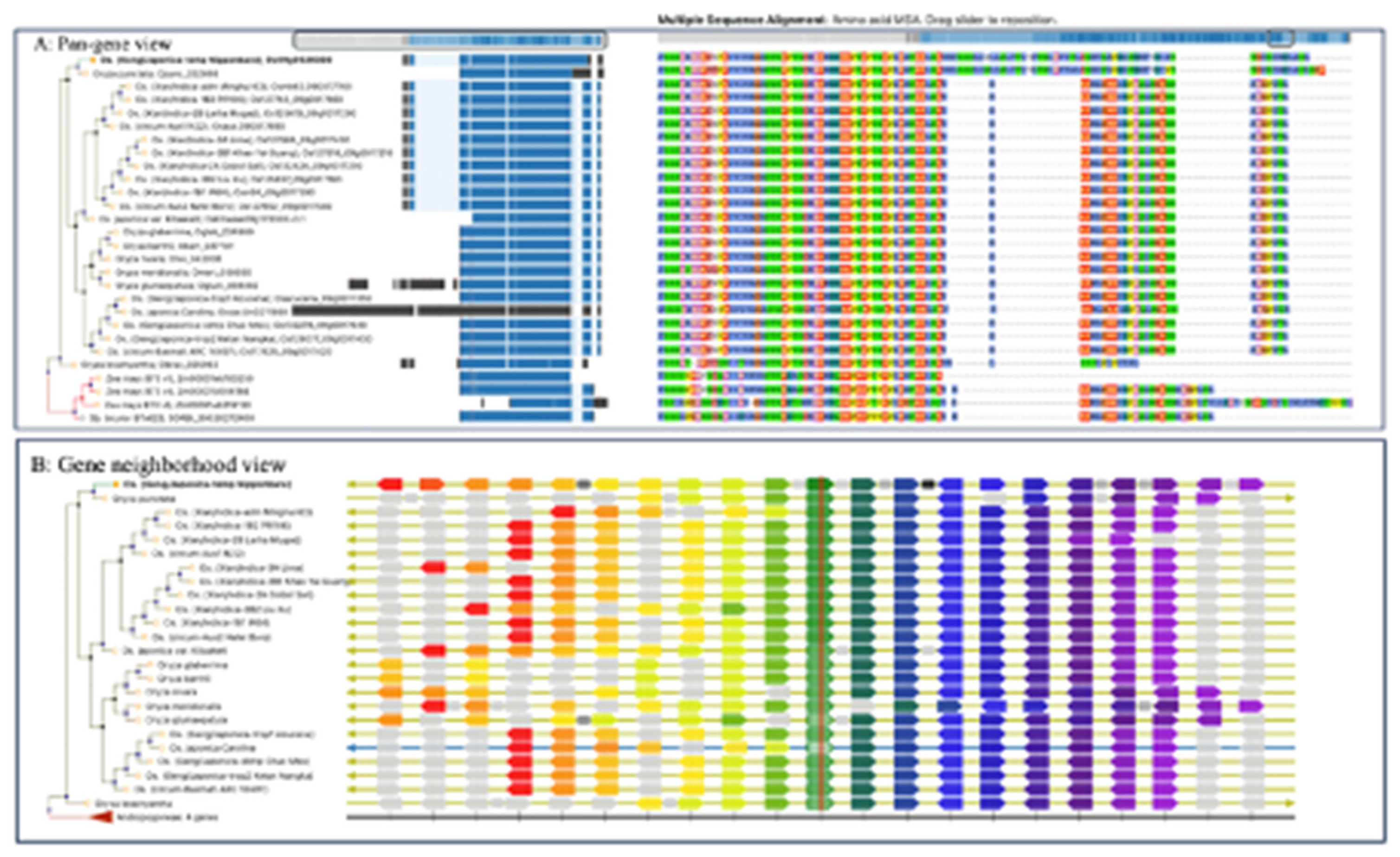 Preprints 82974 g004