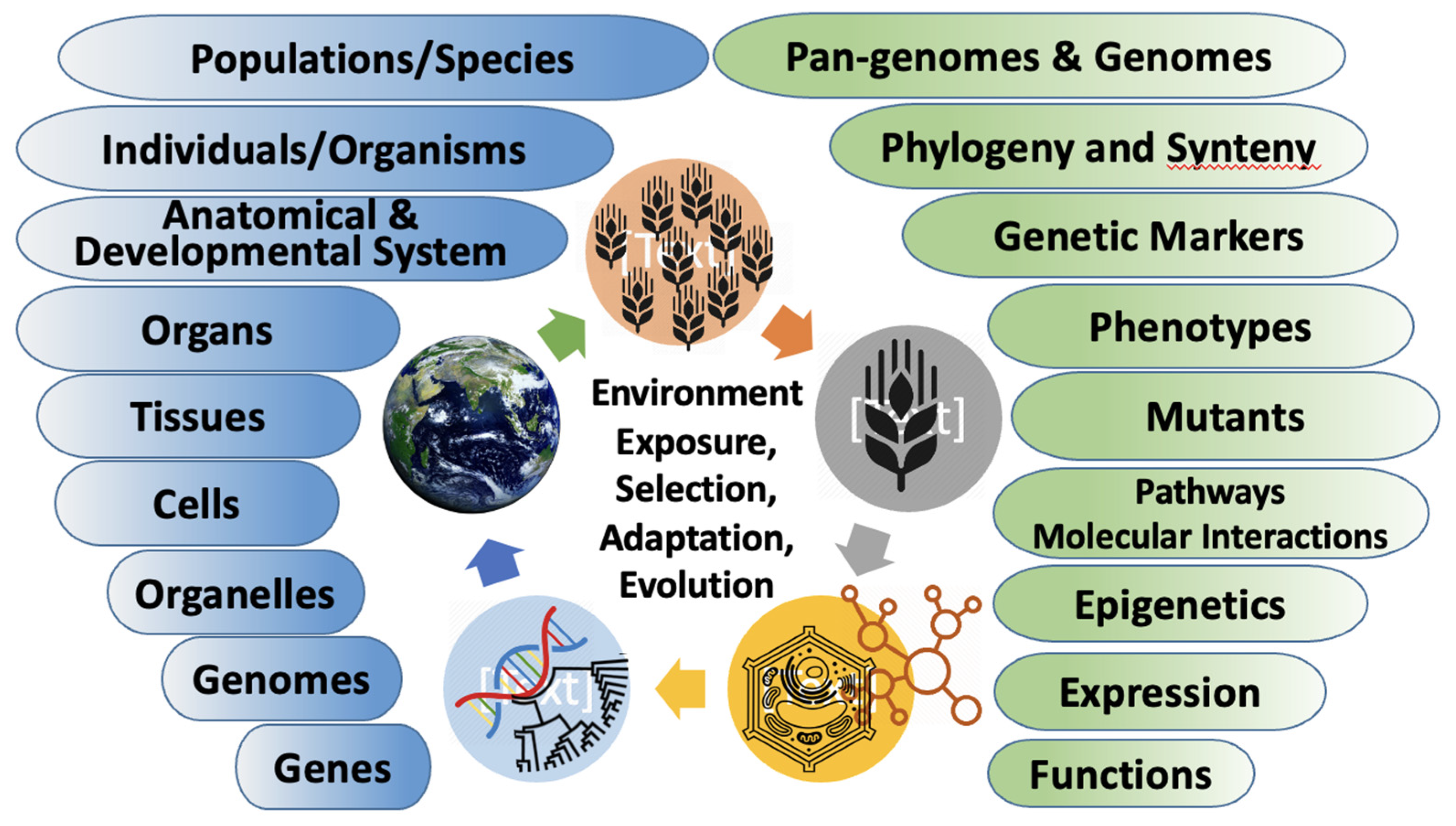 Preprints 82974 g005
