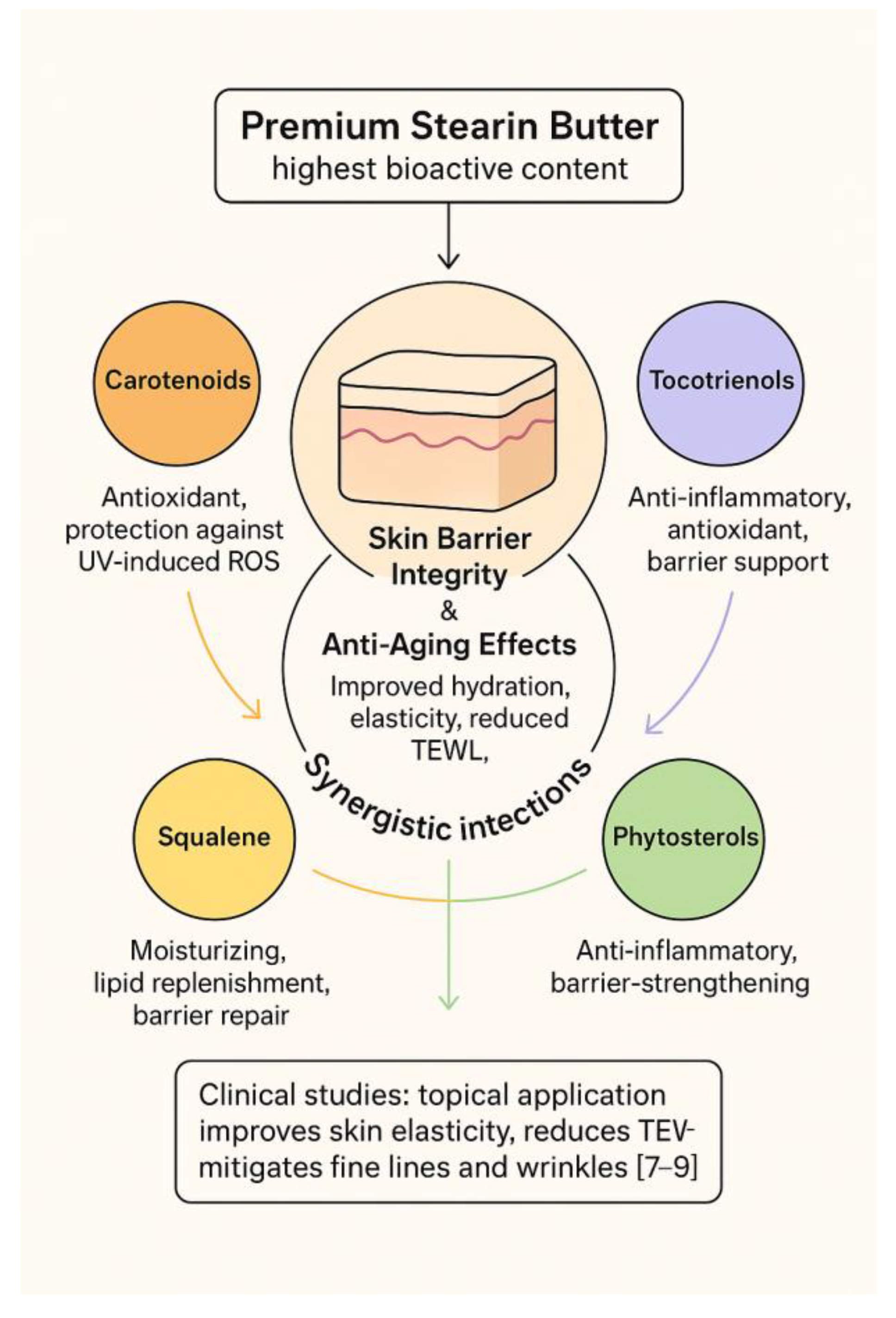 Preprints 177240 g001