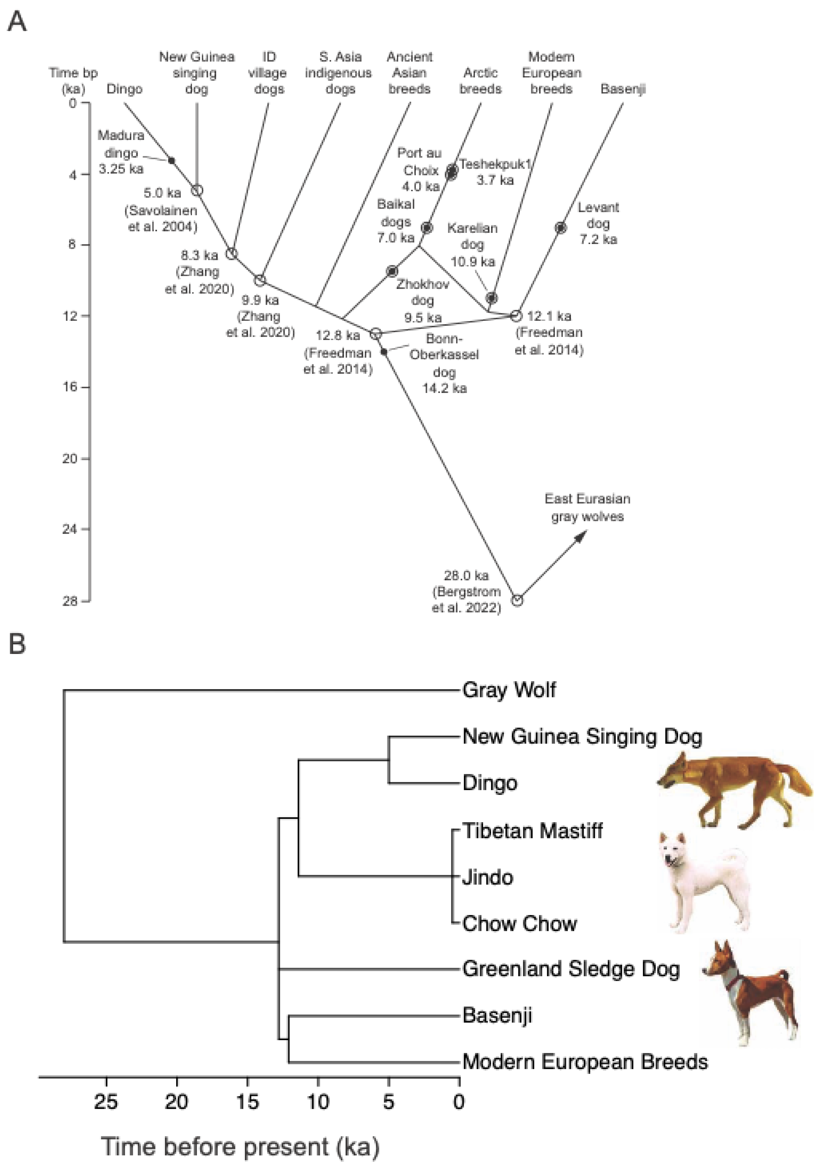 Preprints 191057 g001