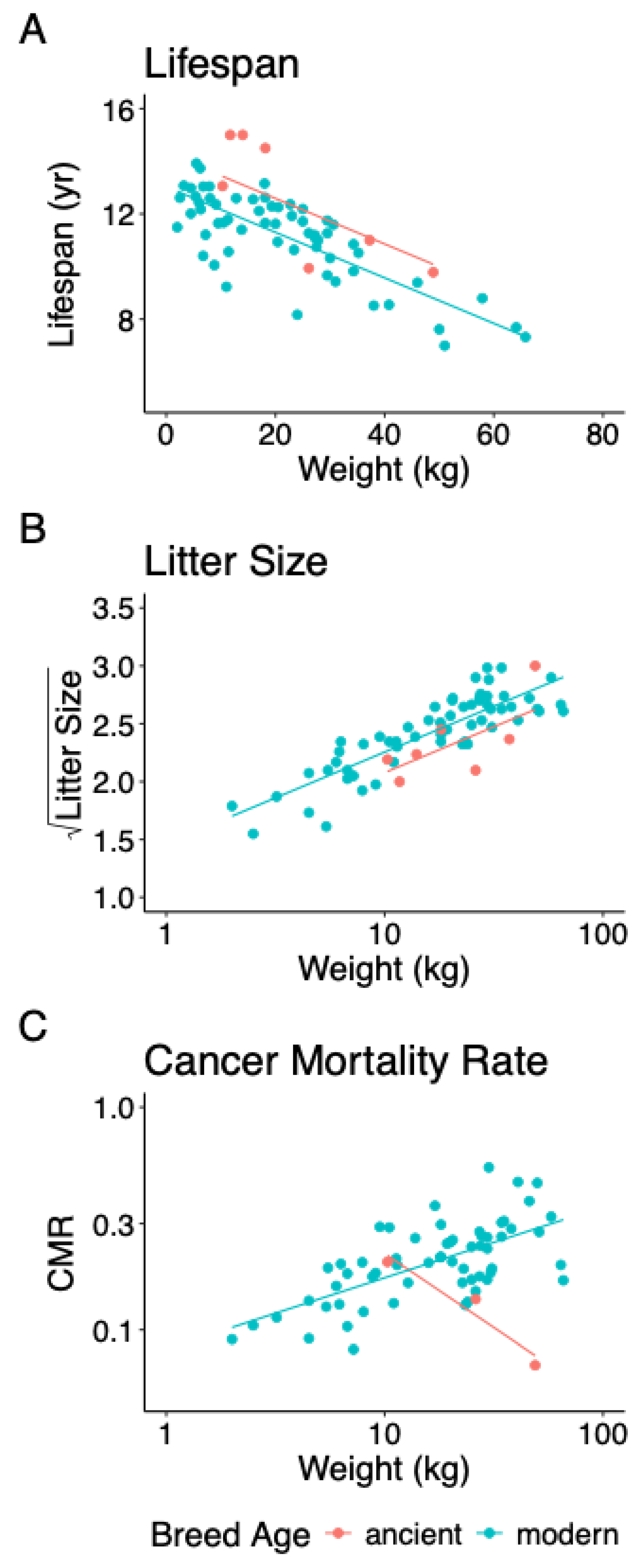 Preprints 191057 g002