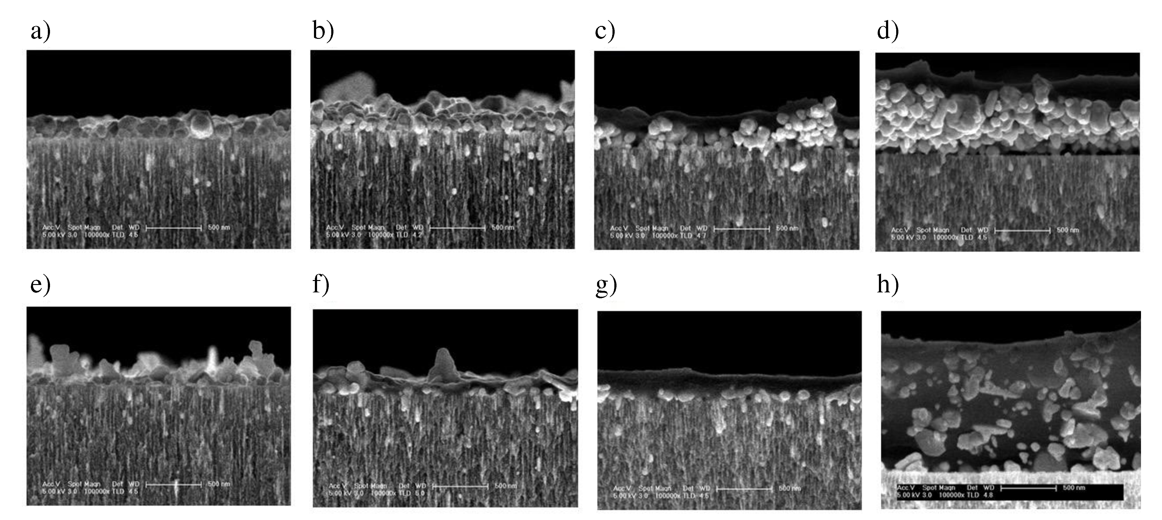 Preprints 75023 g005