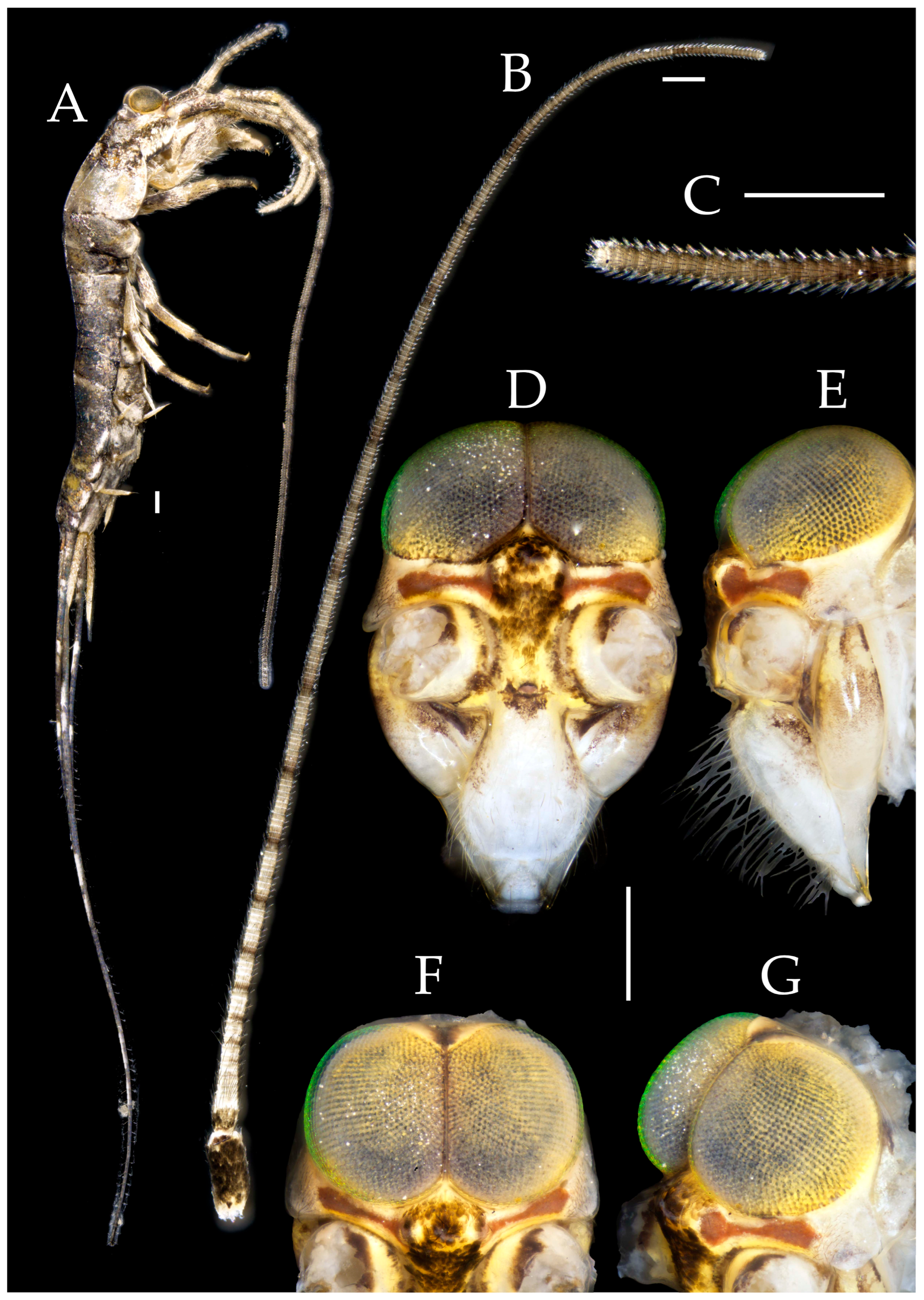 Preprints 174106 g002
