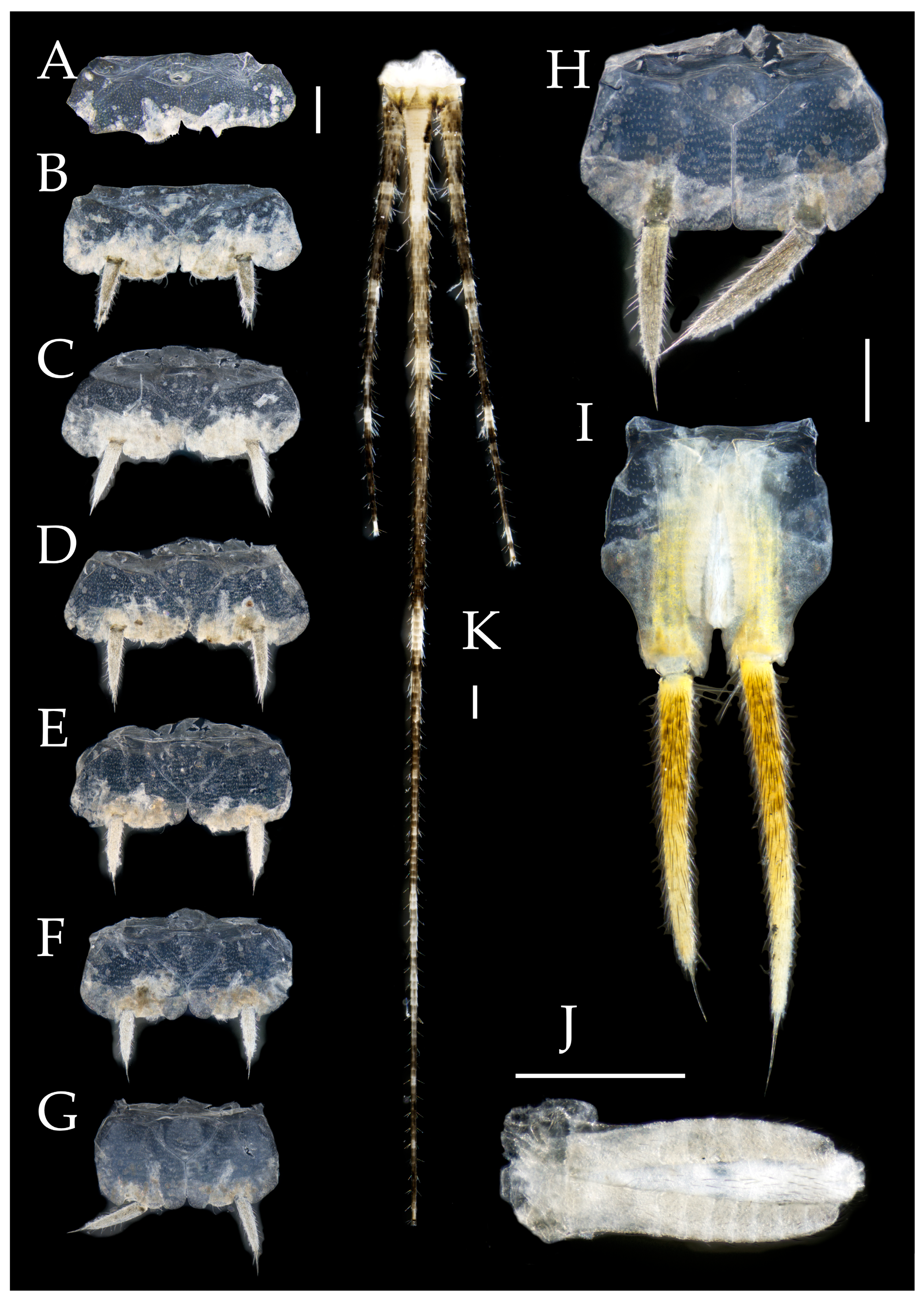 Preprints 174106 g004