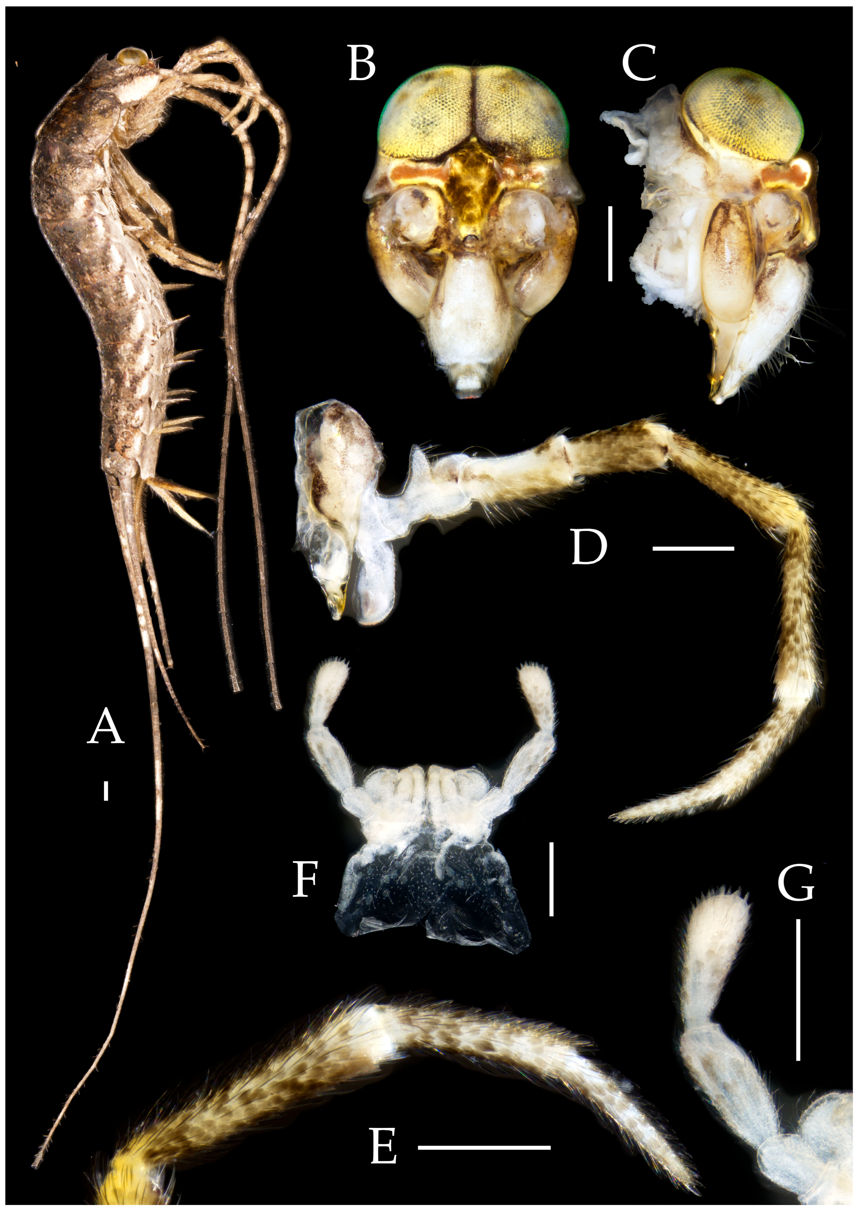 Preprints 174106 g005