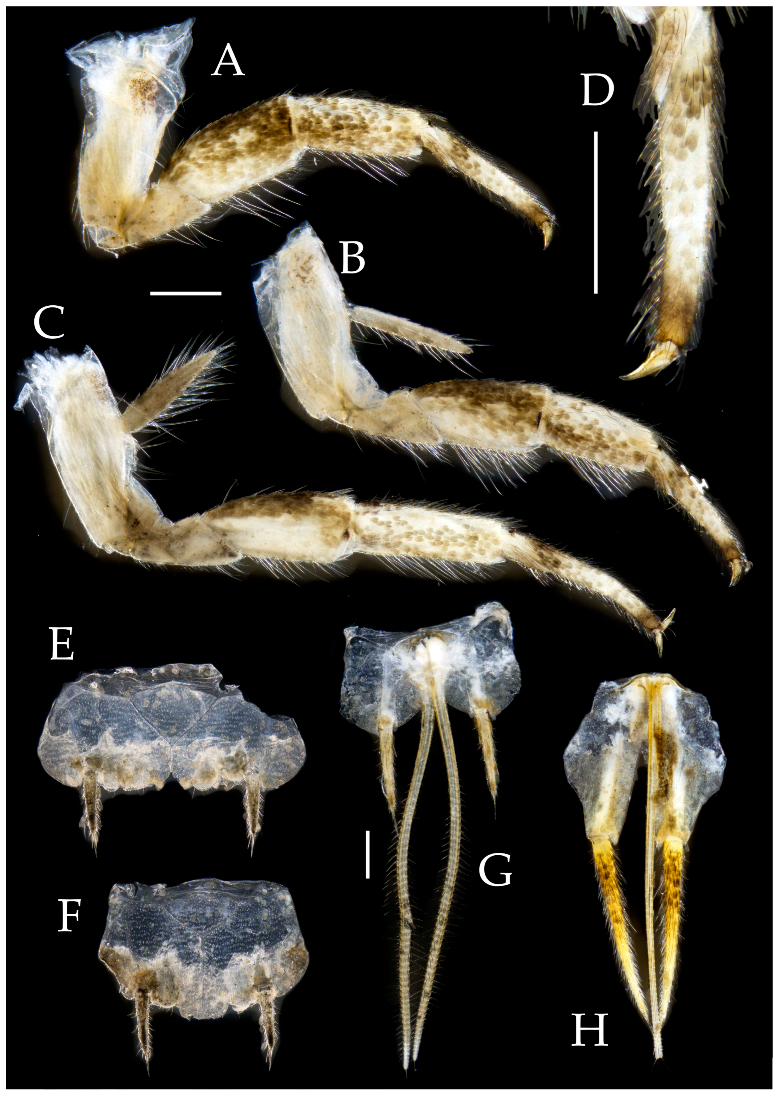 Preprints 174106 g006