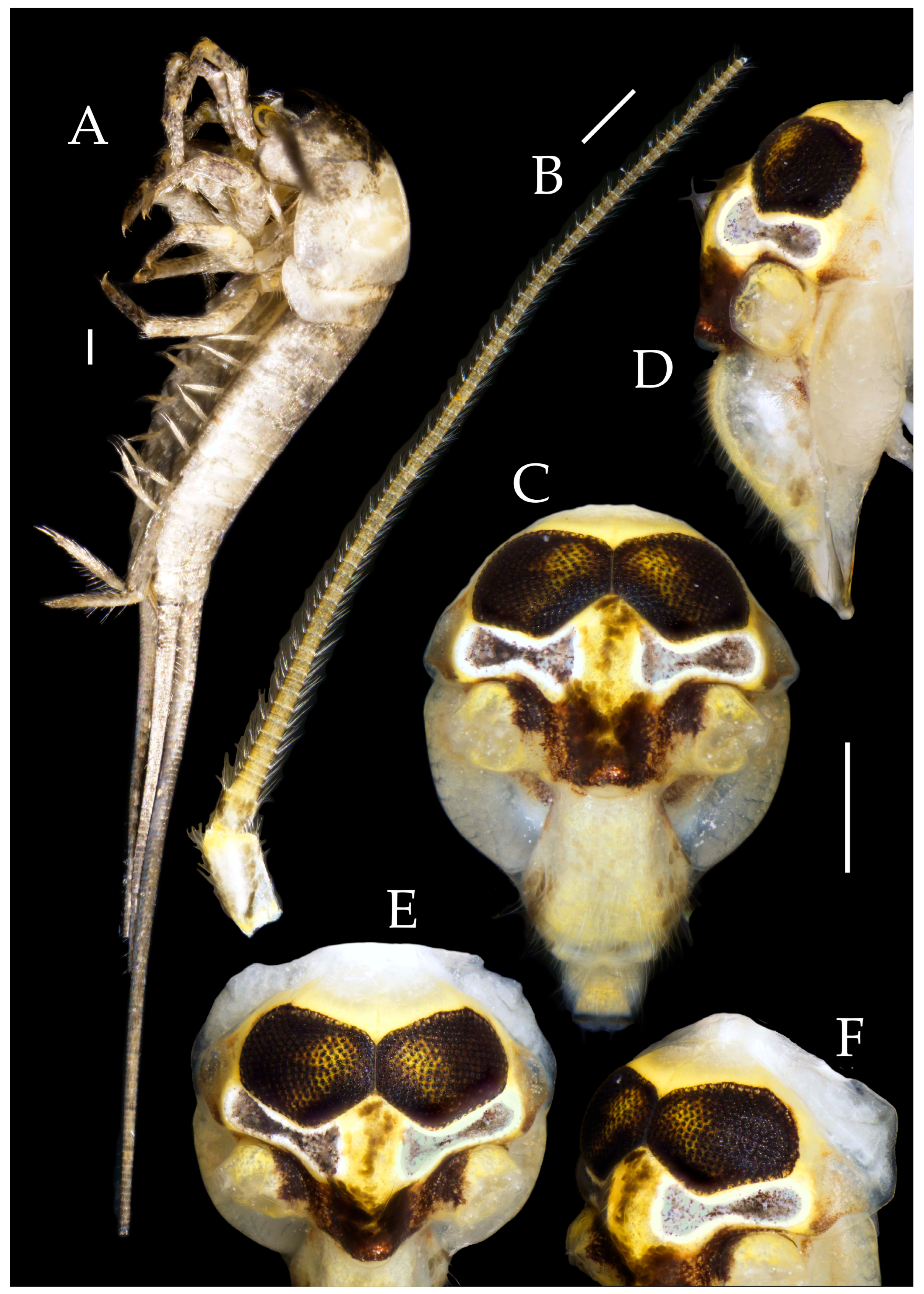 Preprints 174106 g008