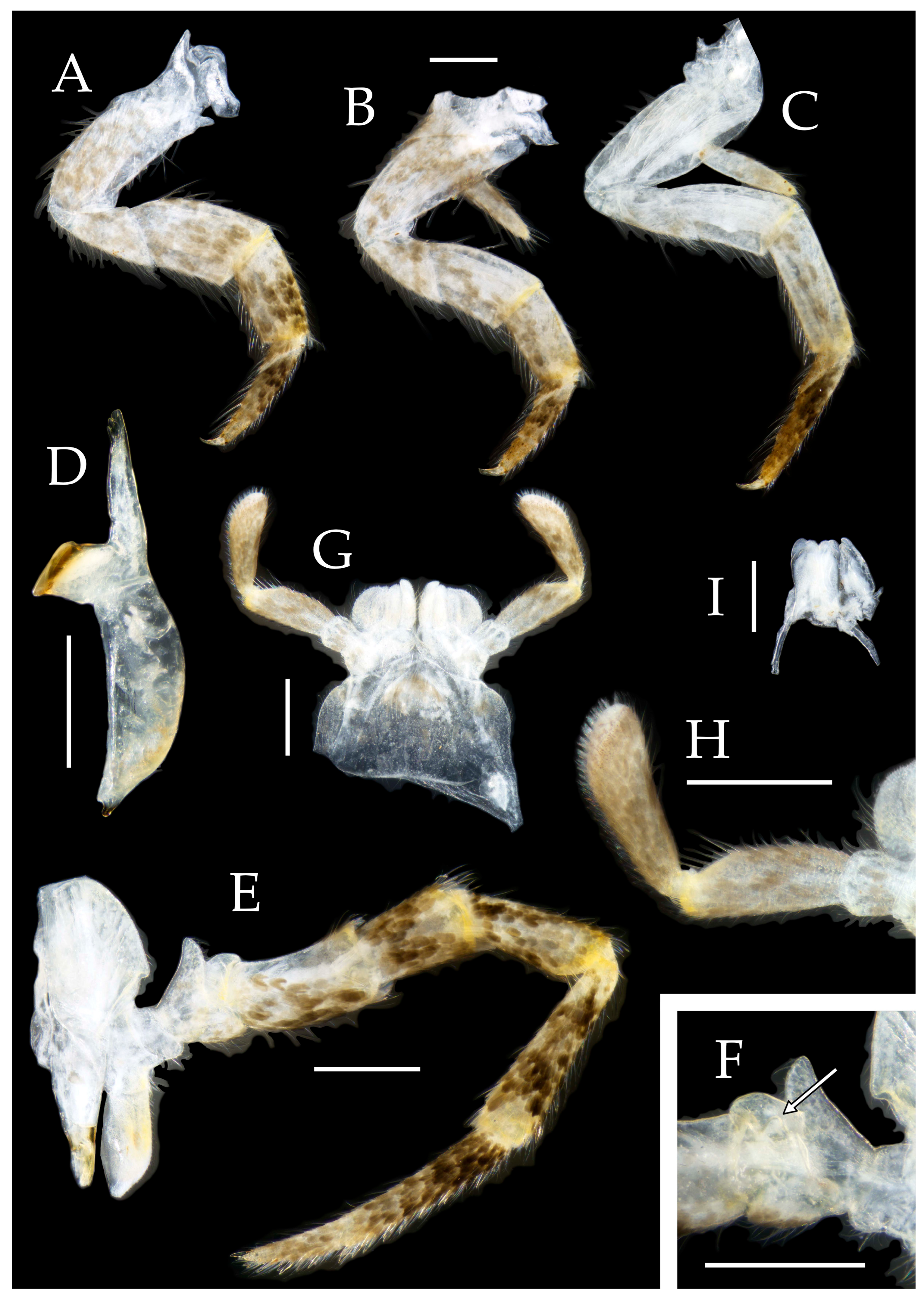 Preprints 174106 g009
