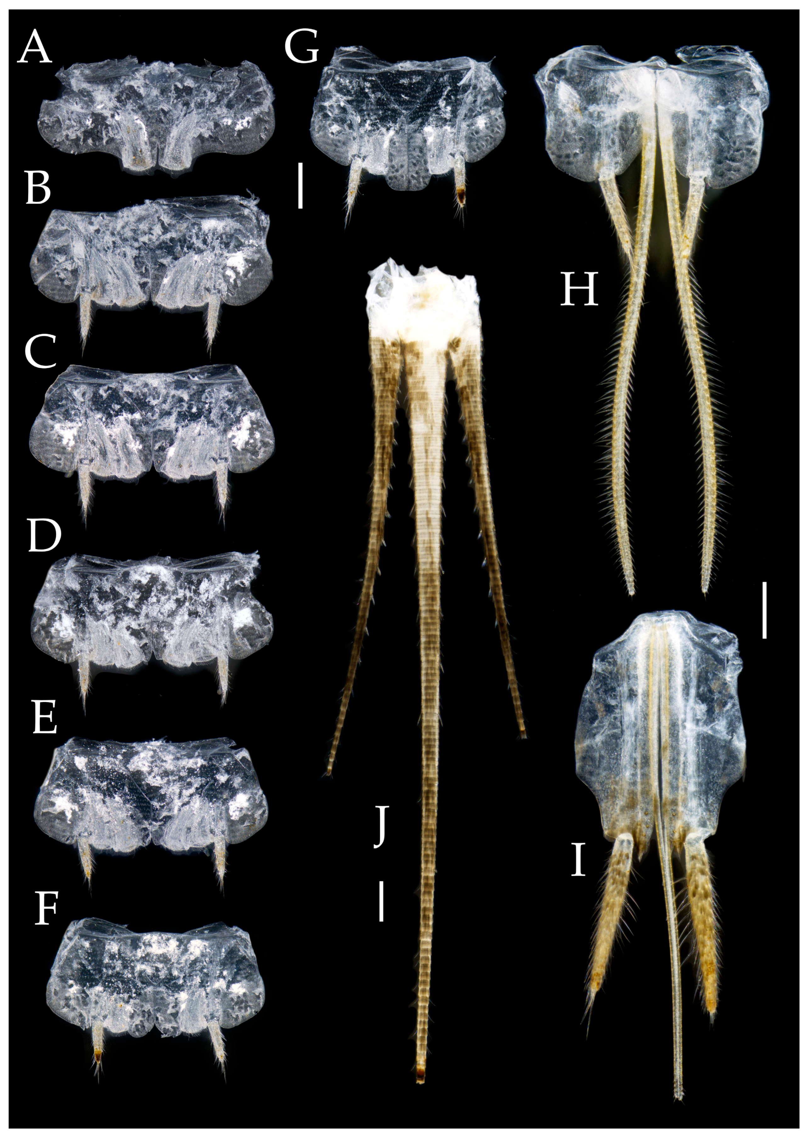 Preprints 174106 g010
