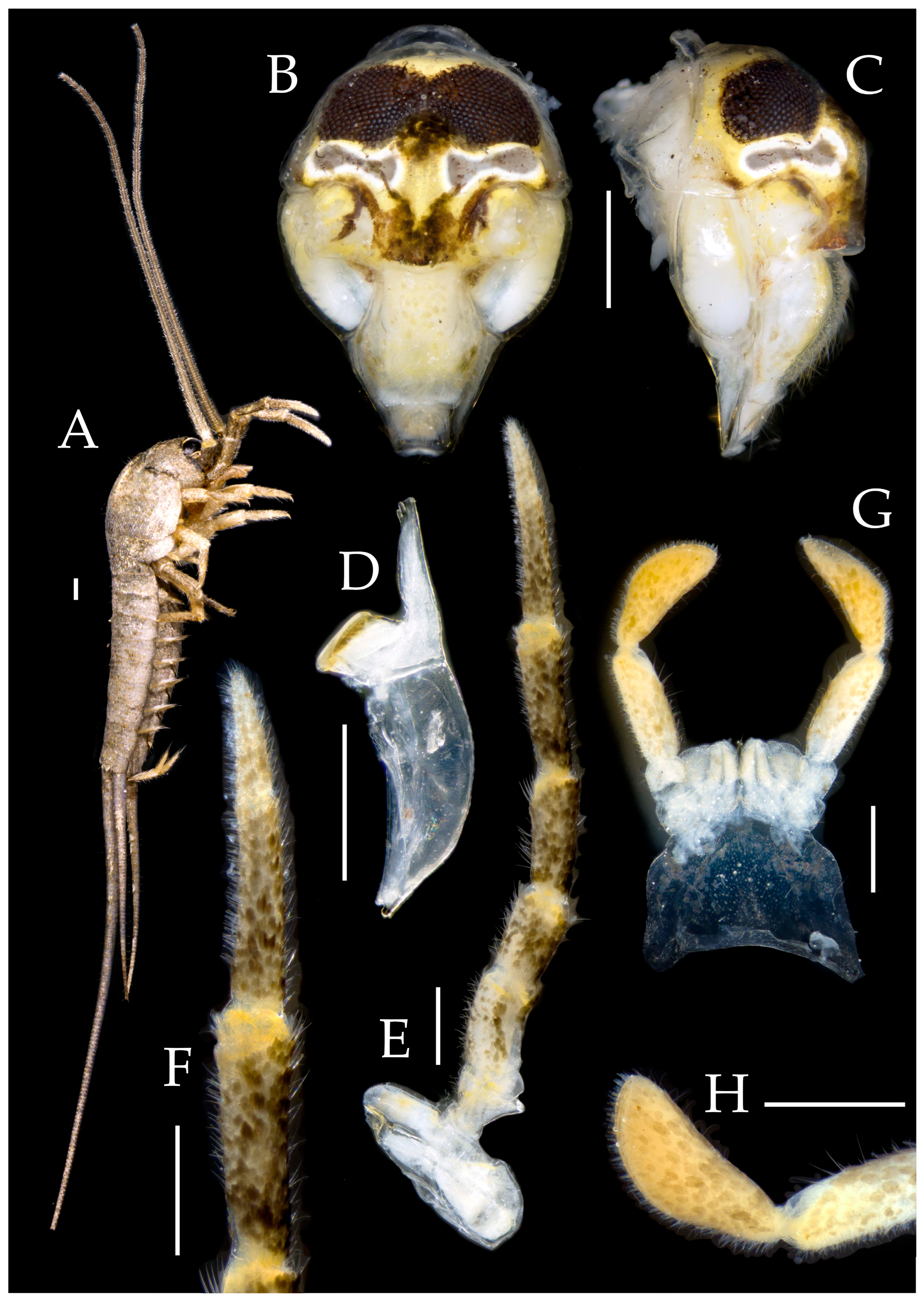 Preprints 174106 g011