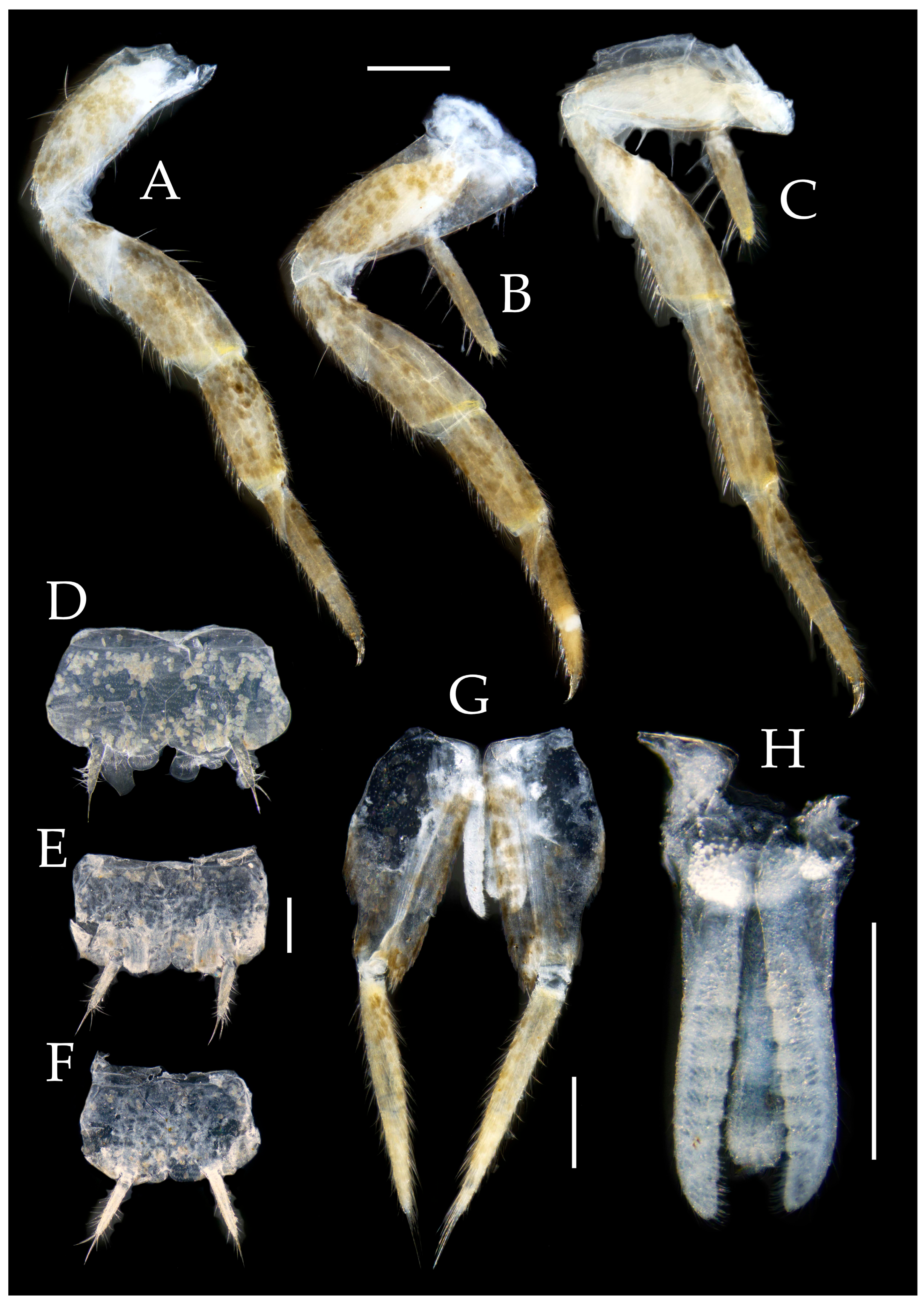 Preprints 174106 g012
