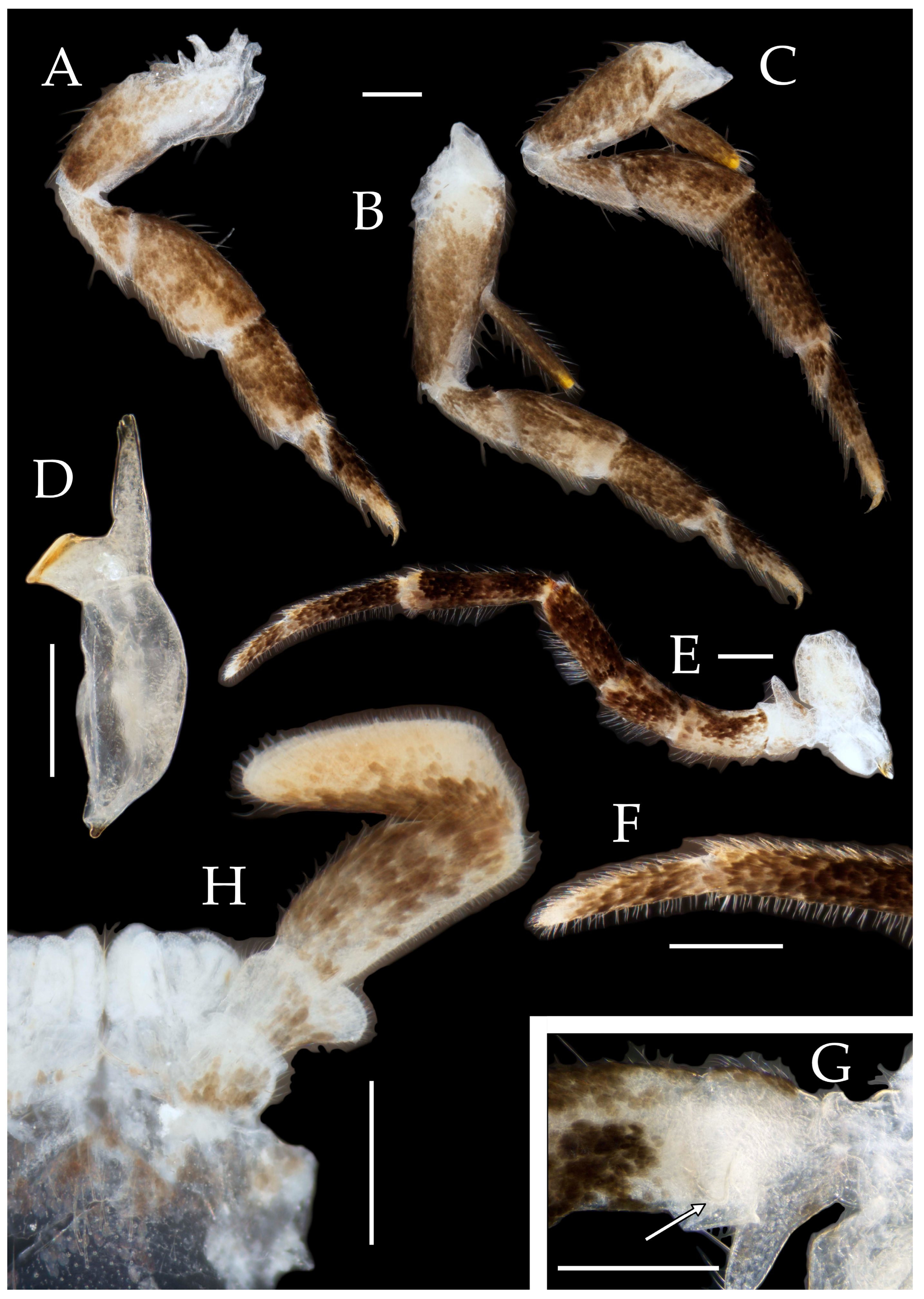 Preprints 174106 g015
