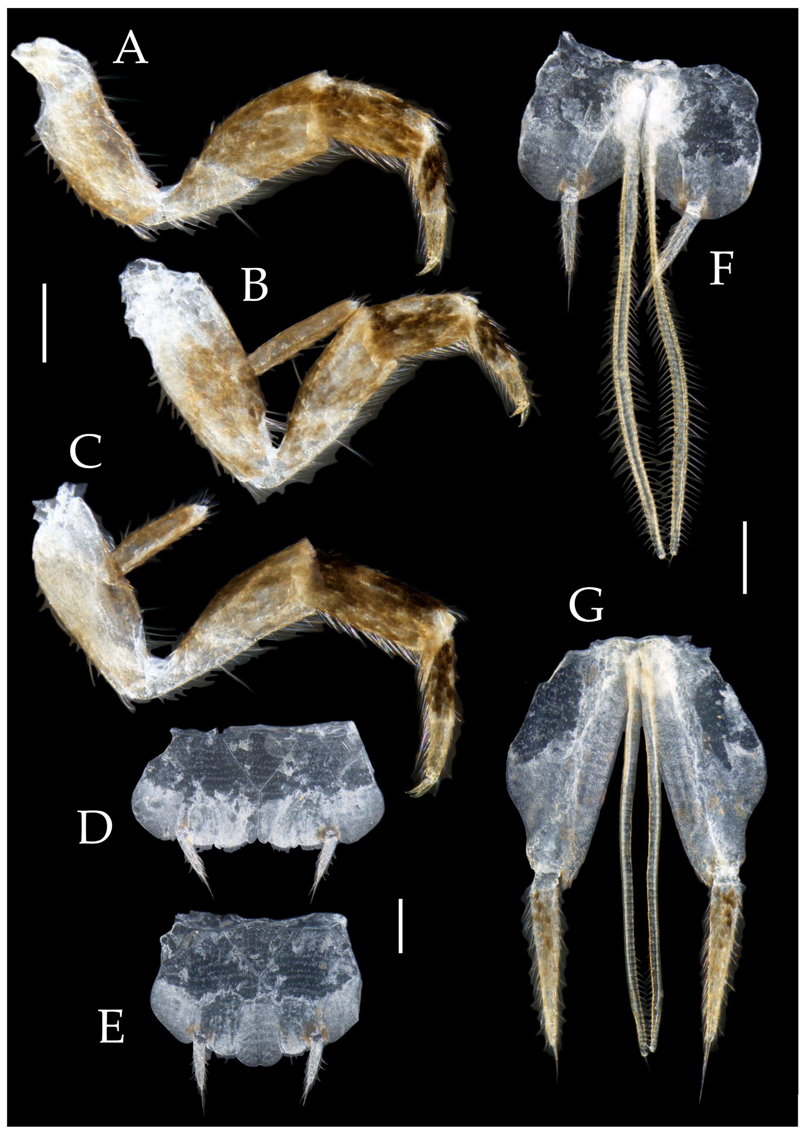 Preprints 174106 g018