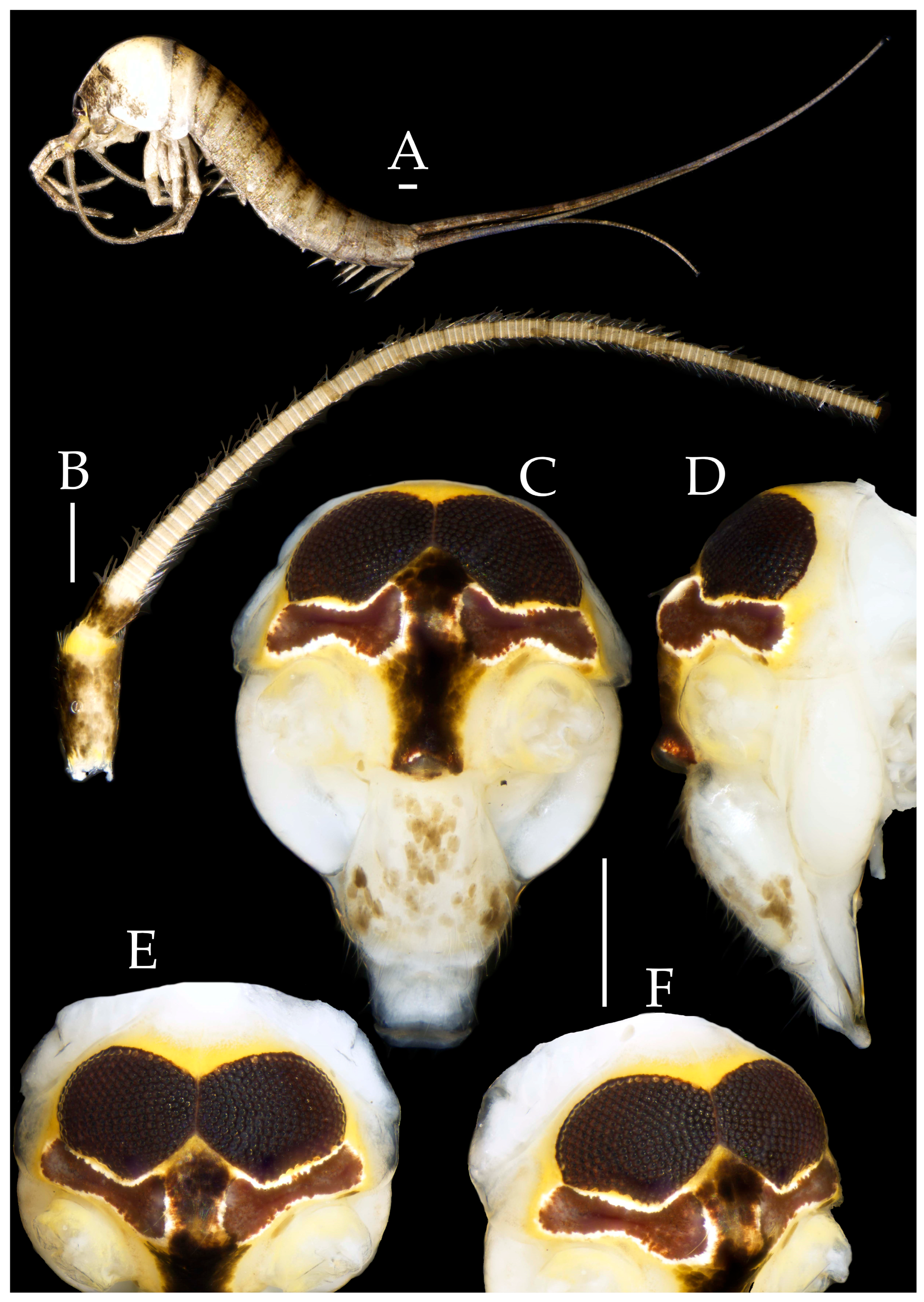 Preprints 174106 g020