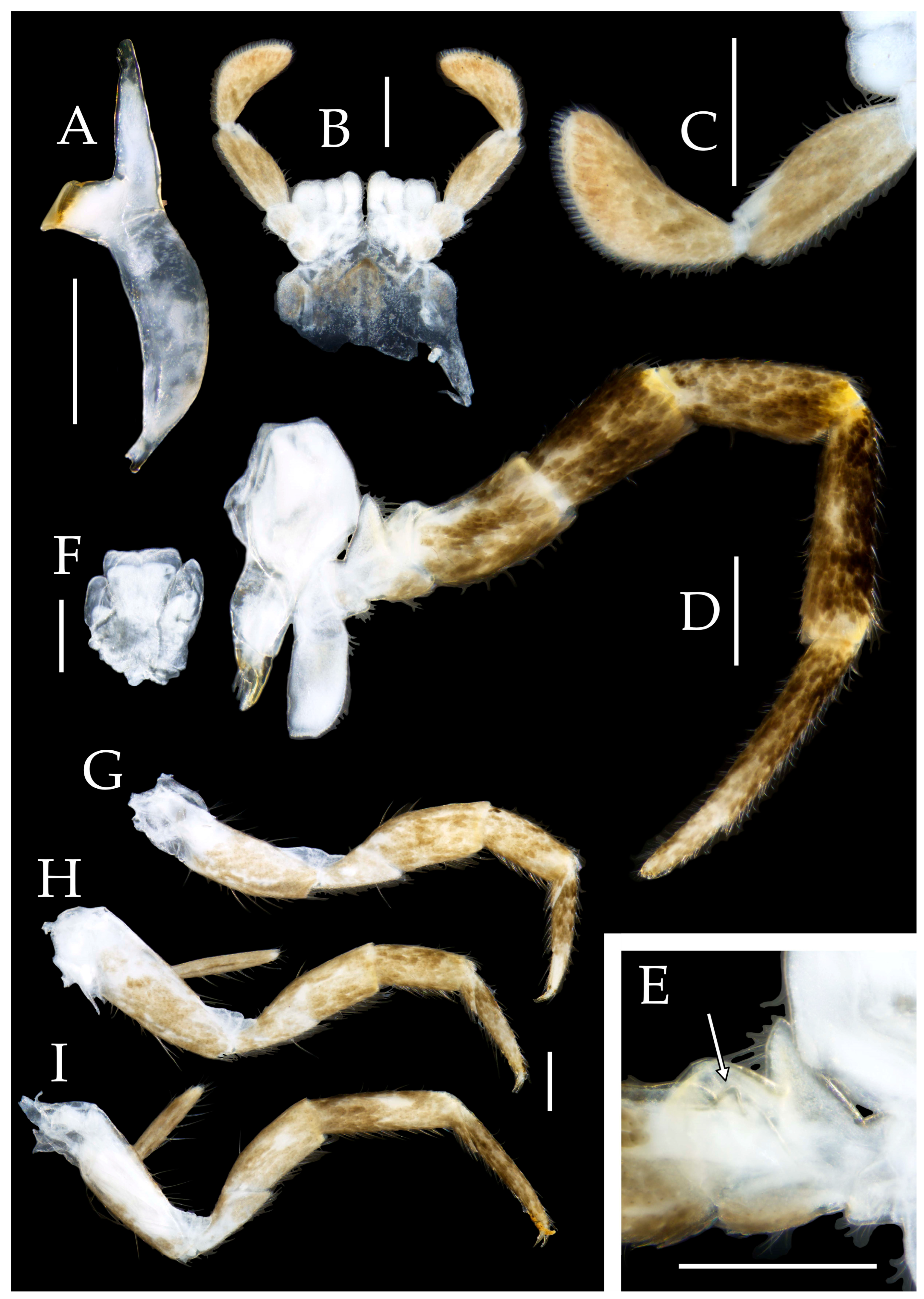 Preprints 174106 g021