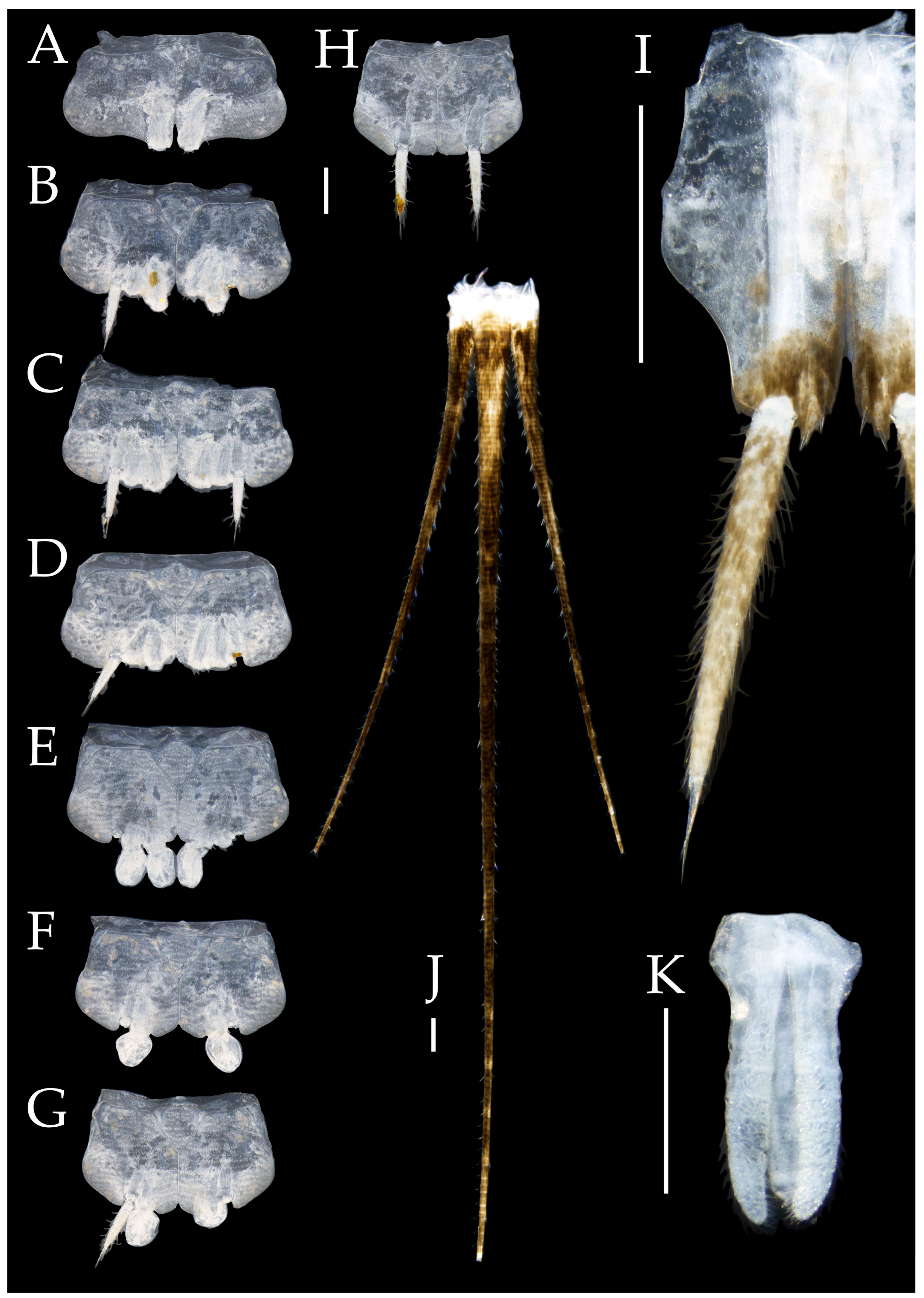 Preprints 174106 g022