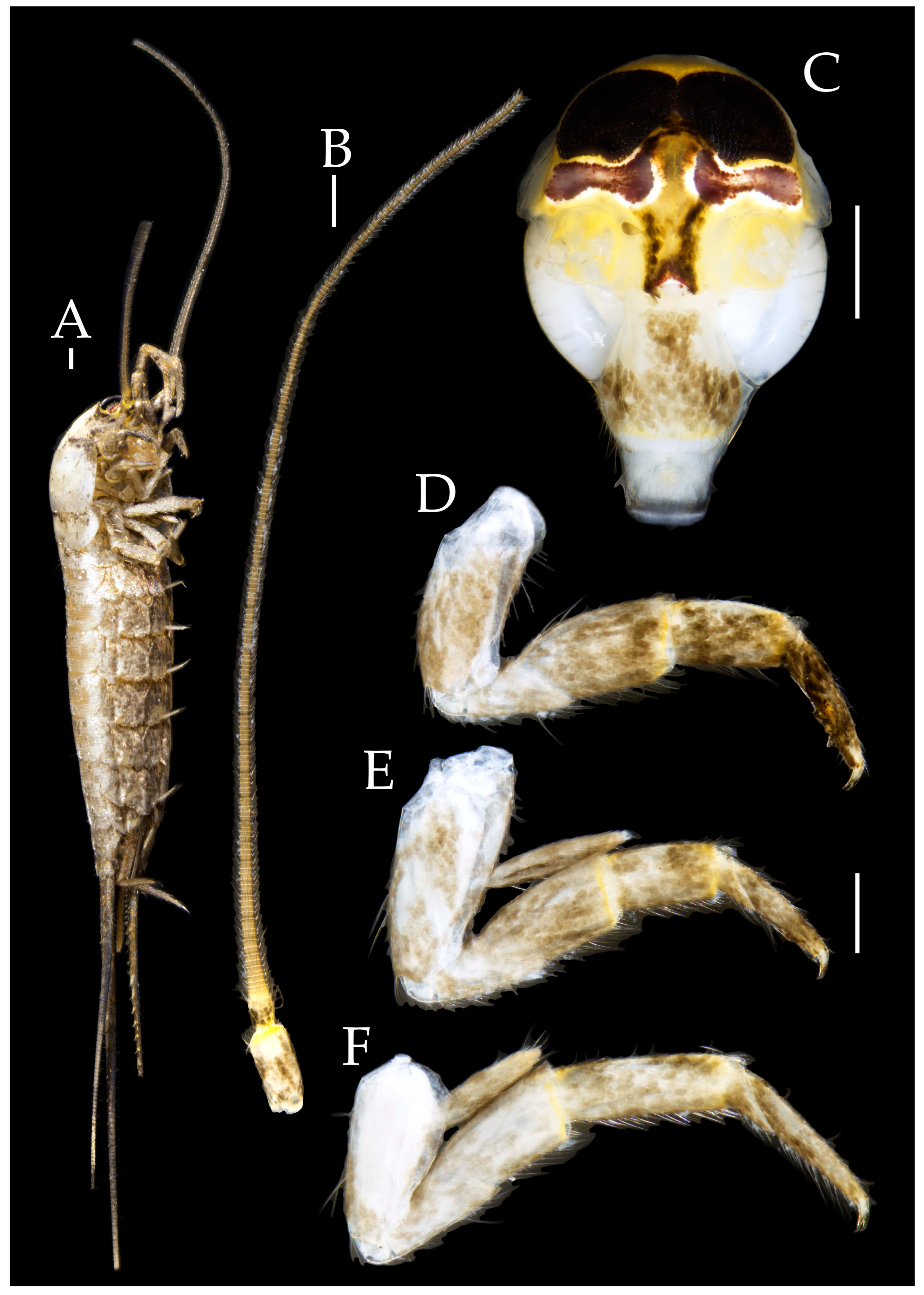 Preprints 174106 g023
