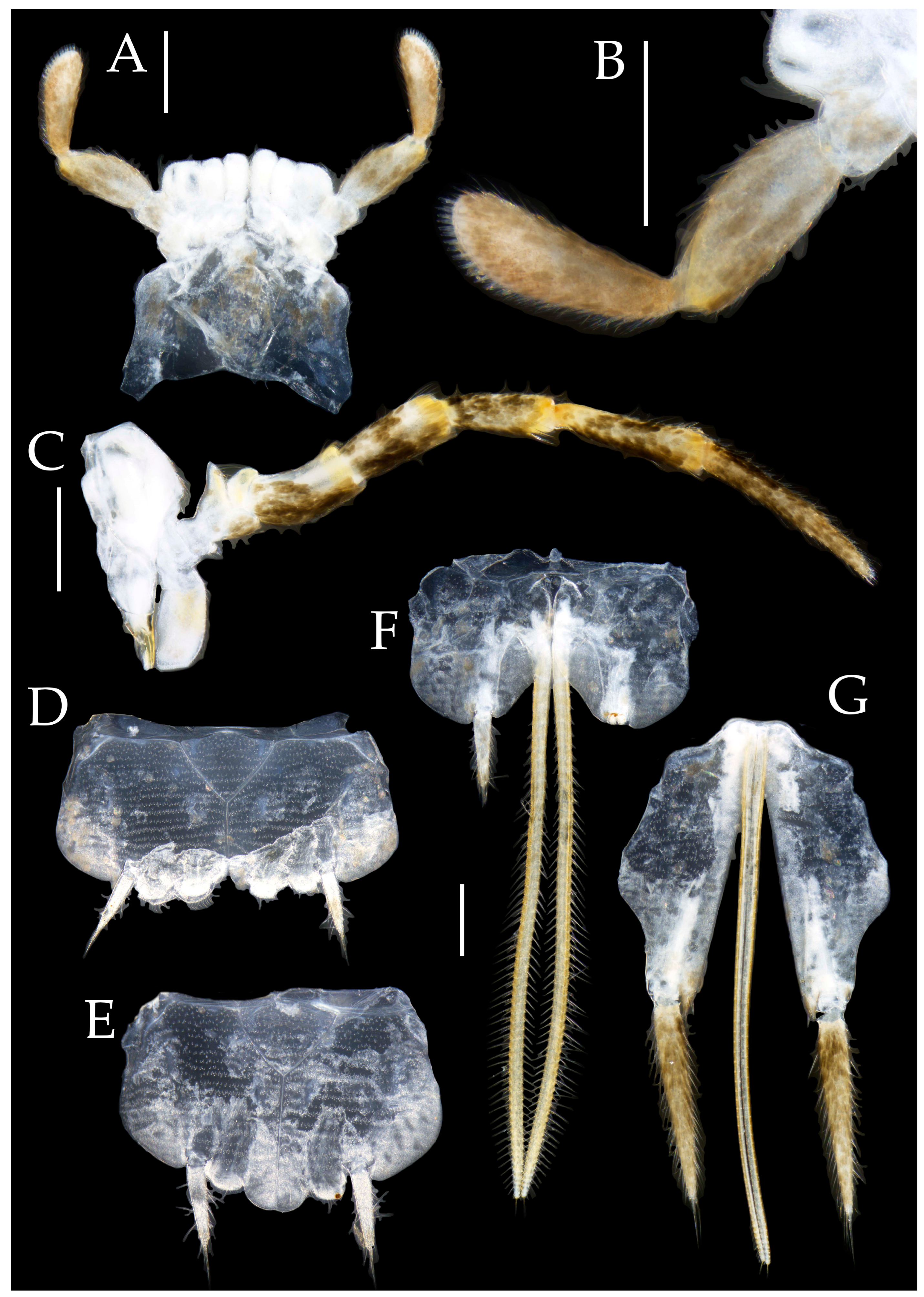 Preprints 174106 g024
