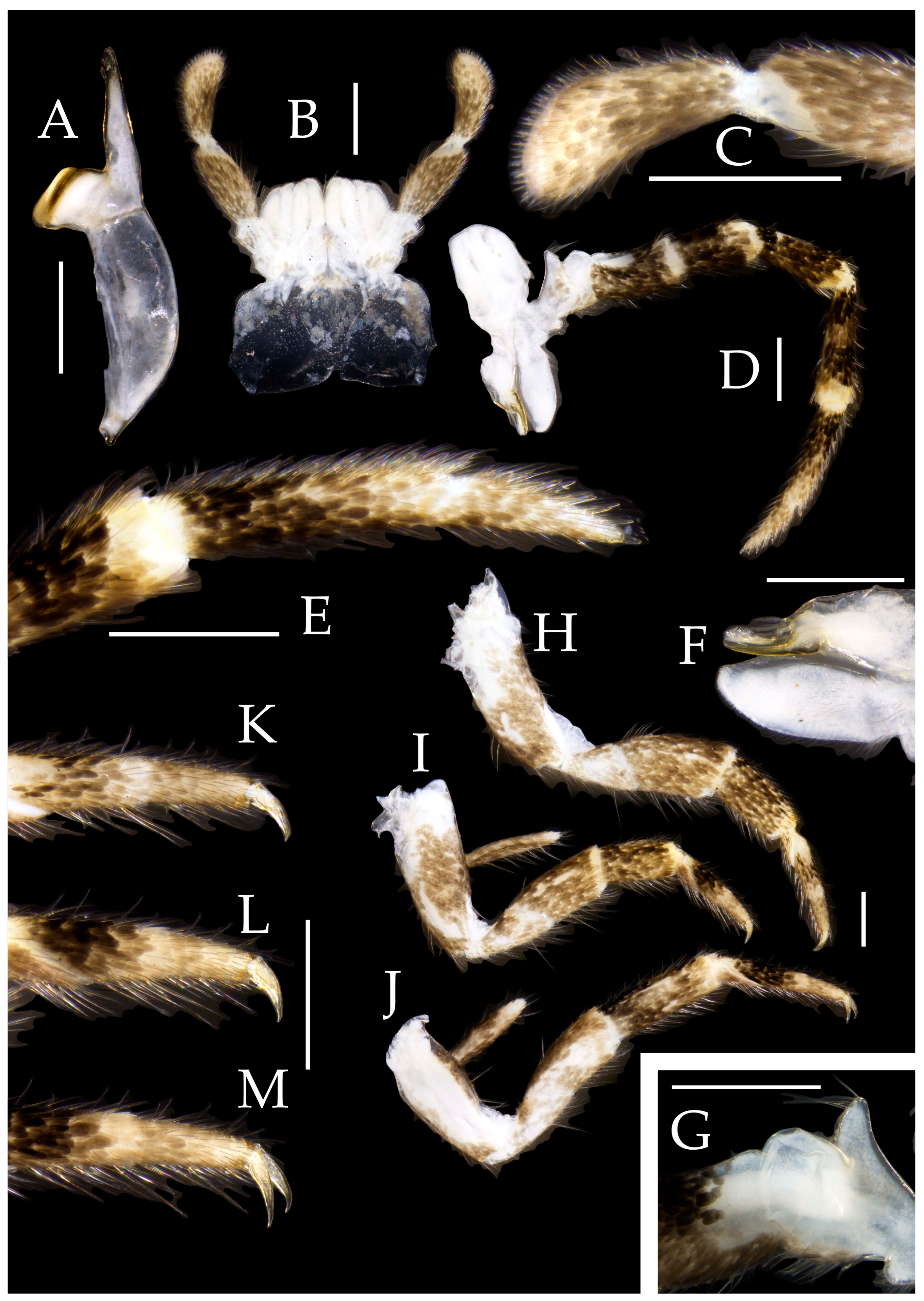 Preprints 174106 g026