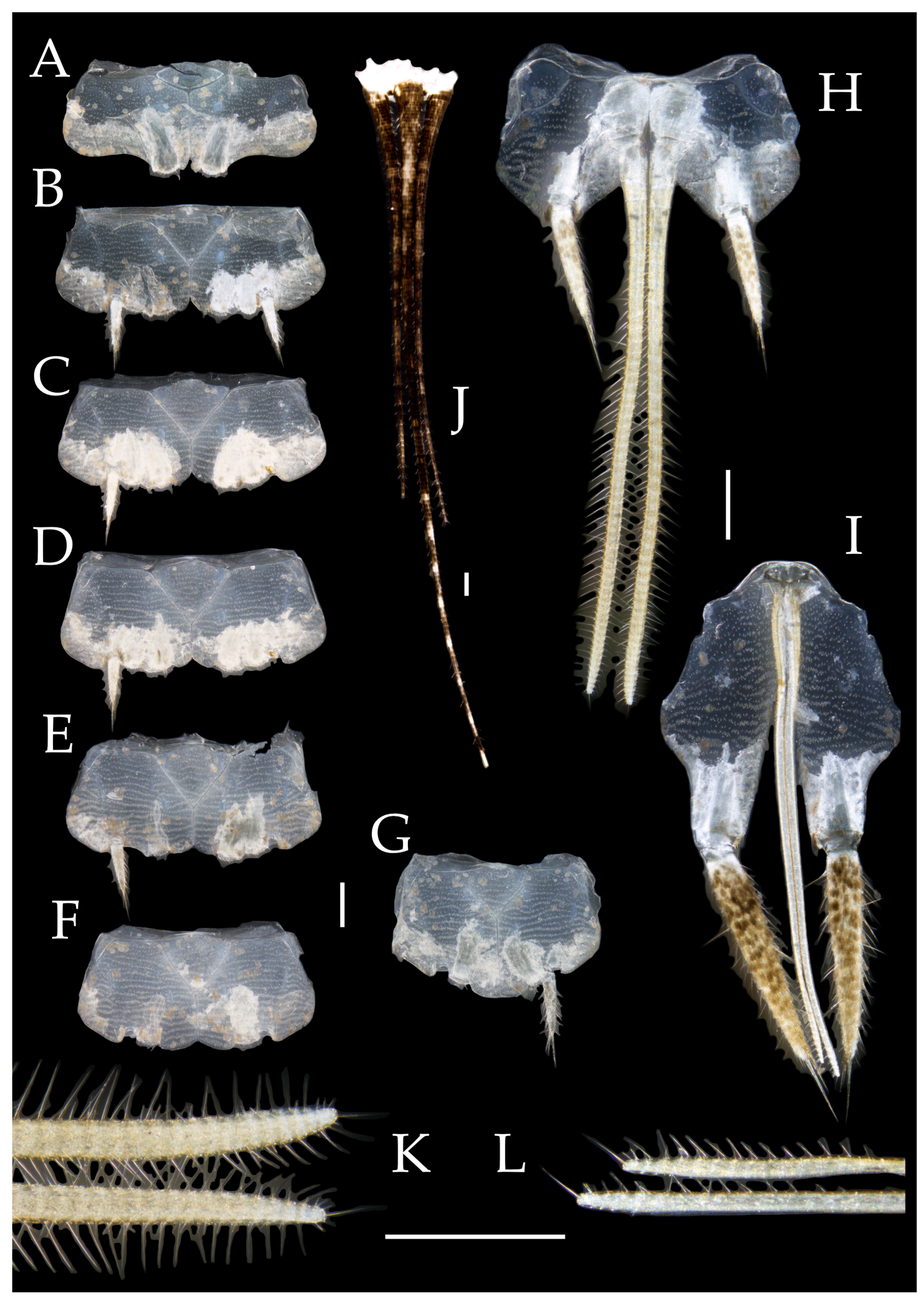 Preprints 174106 g027