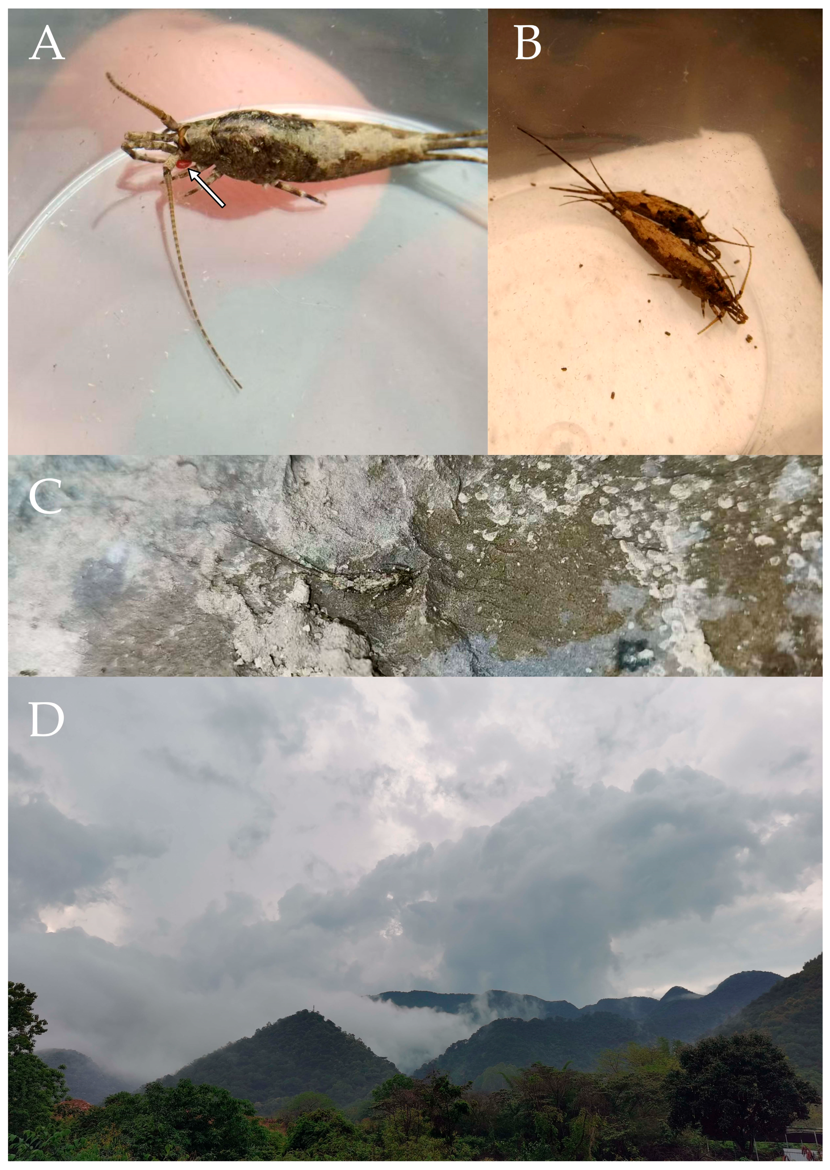 Preprints 174106 g028