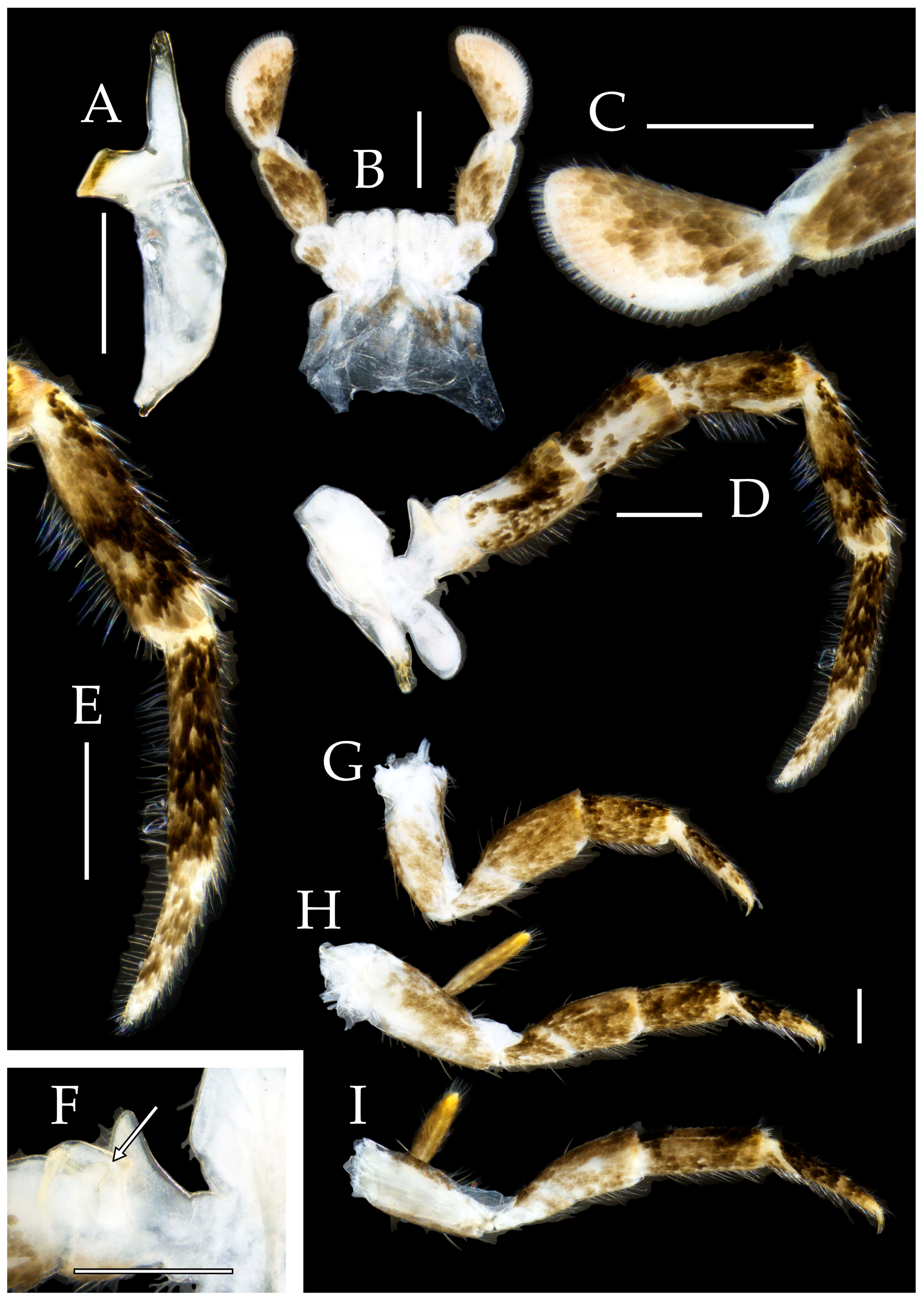 Preprints 174106 g030