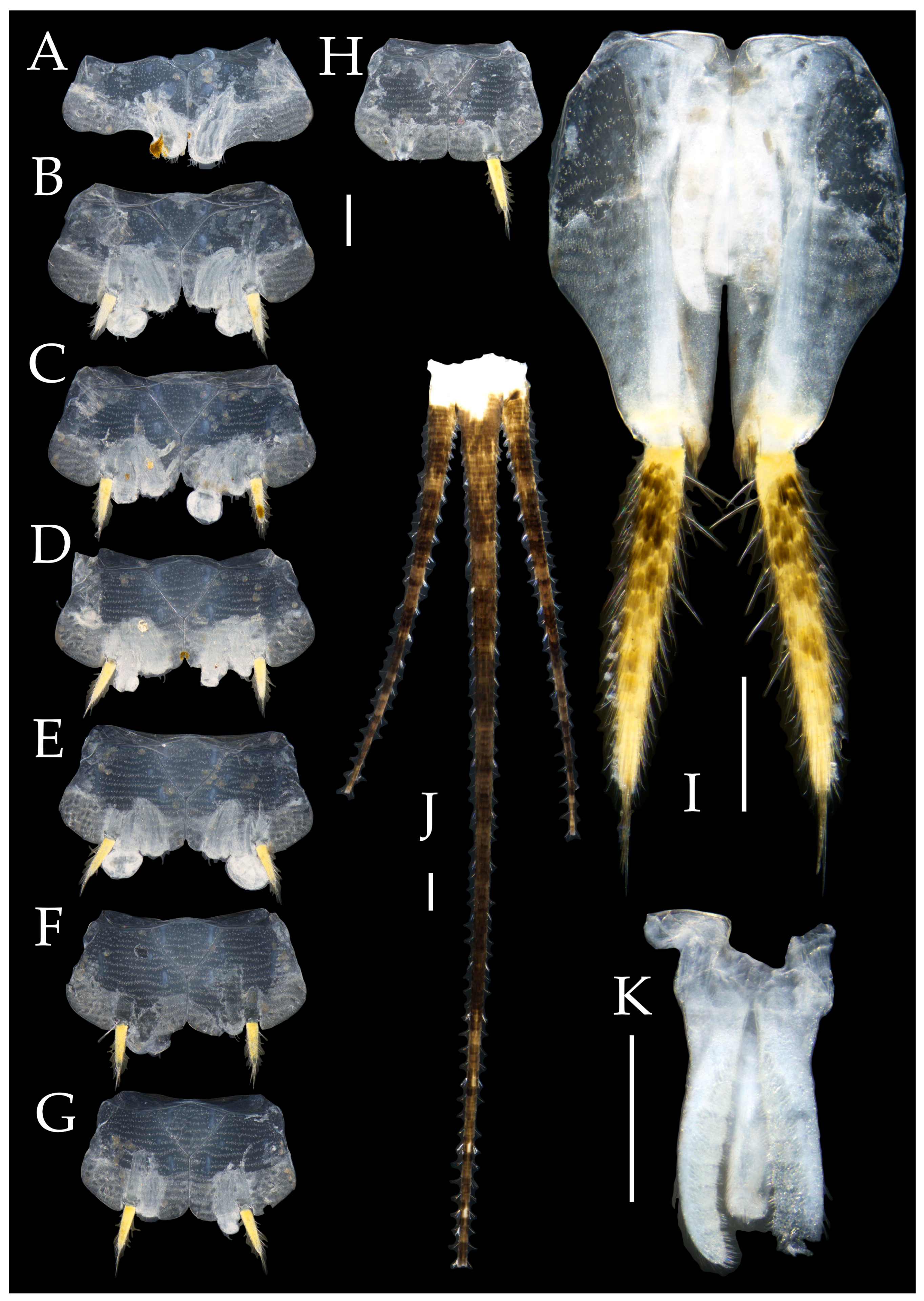 Preprints 174106 g031