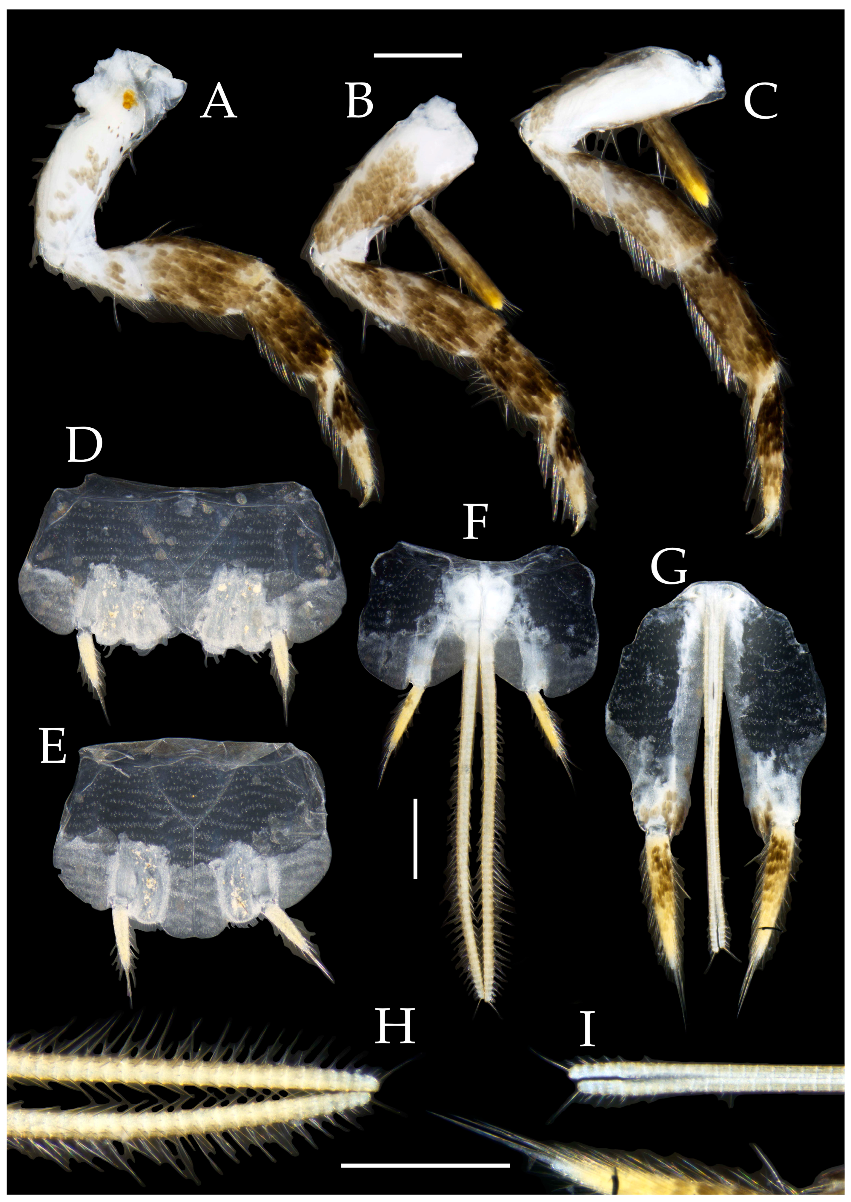 Preprints 174106 g033