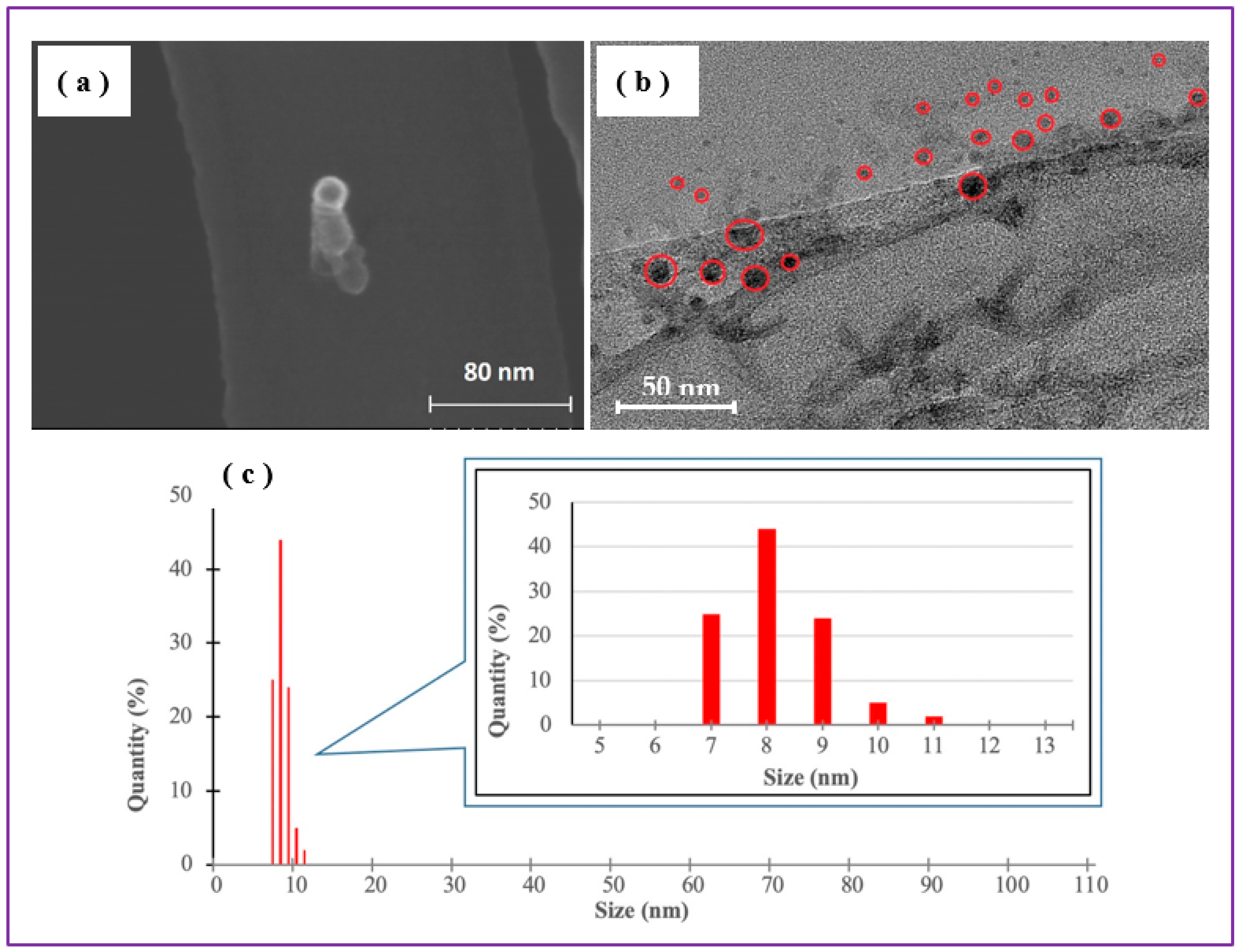Preprints 81628 g006