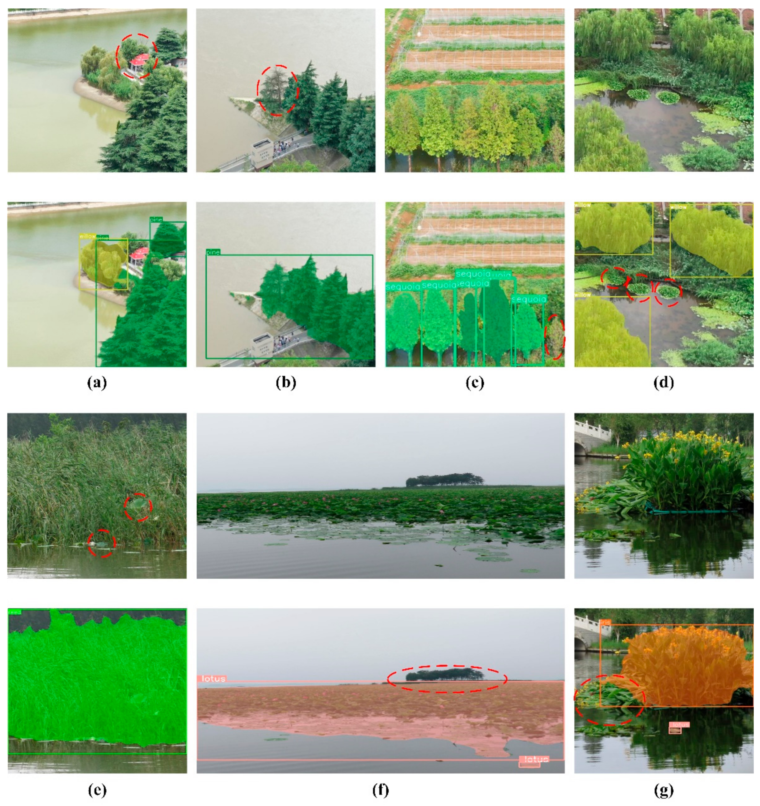 Preprints 152102 g006