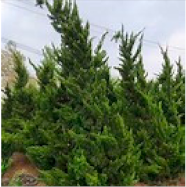 Preprints 152102 i002