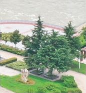 Preprints 152102 i003