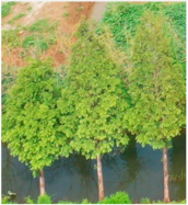 Preprints 152102 i004