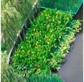 Preprints 152102 i007