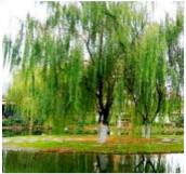 Preprints 152102 i012