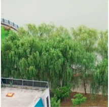 Preprints 152102 i016