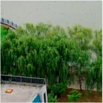 Preprints 152102 i017