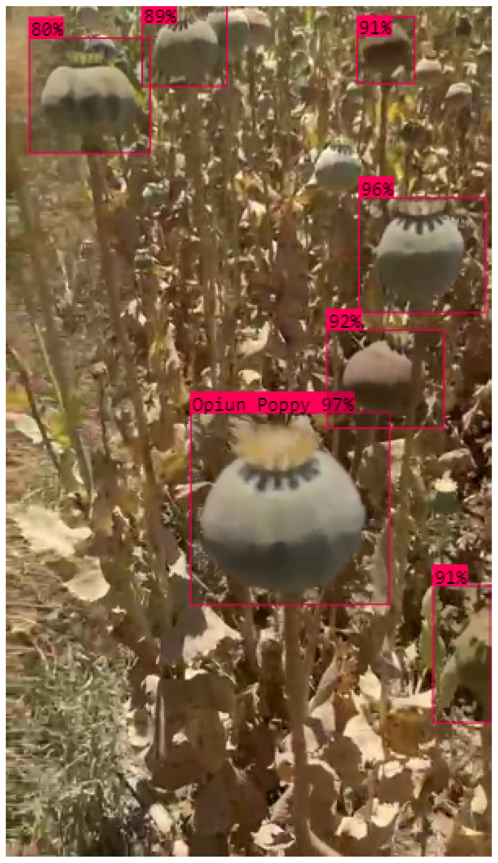 Preprints 122095 g011