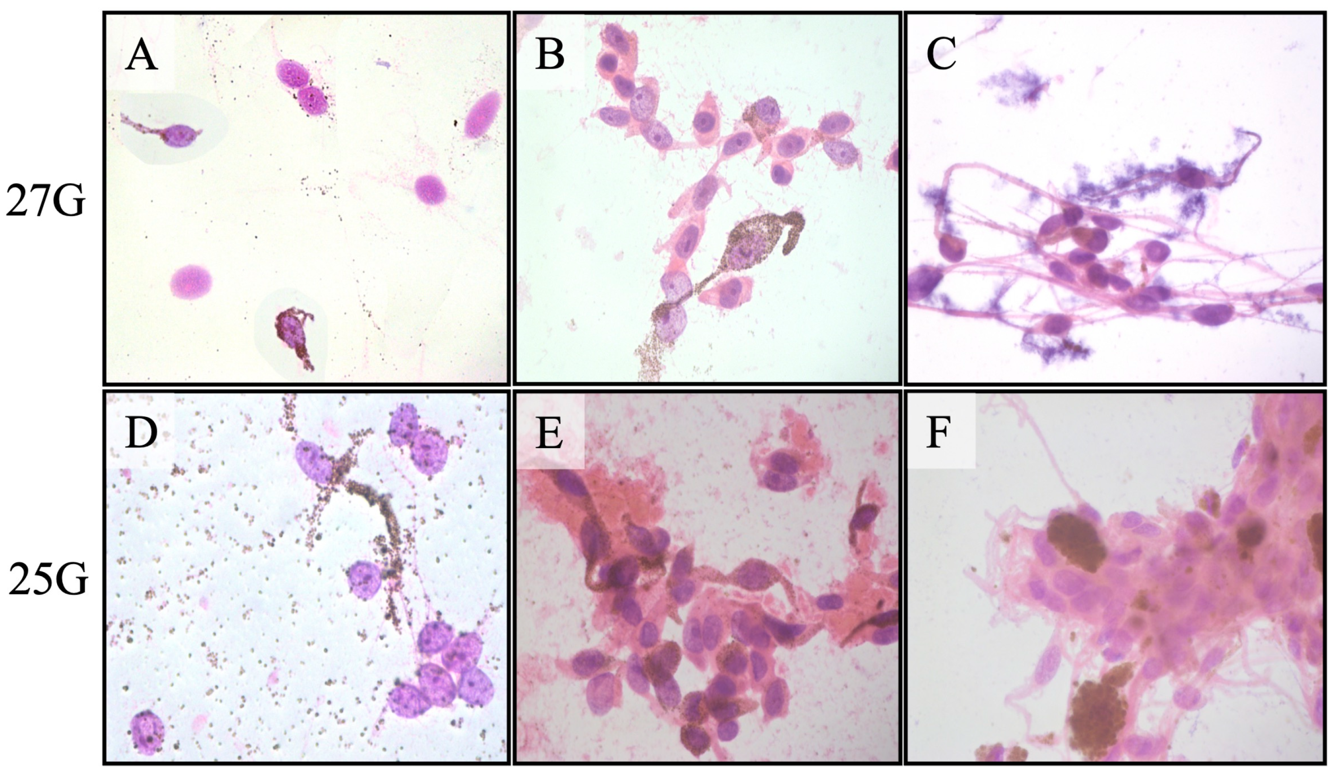 Preprints 138929 g002