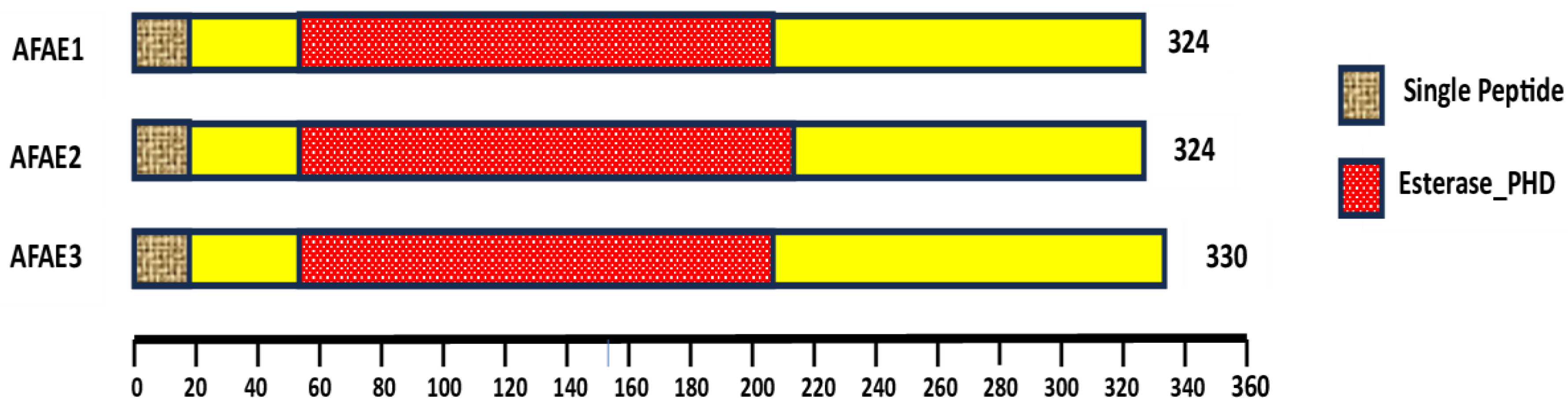 Preprints 146291 g002