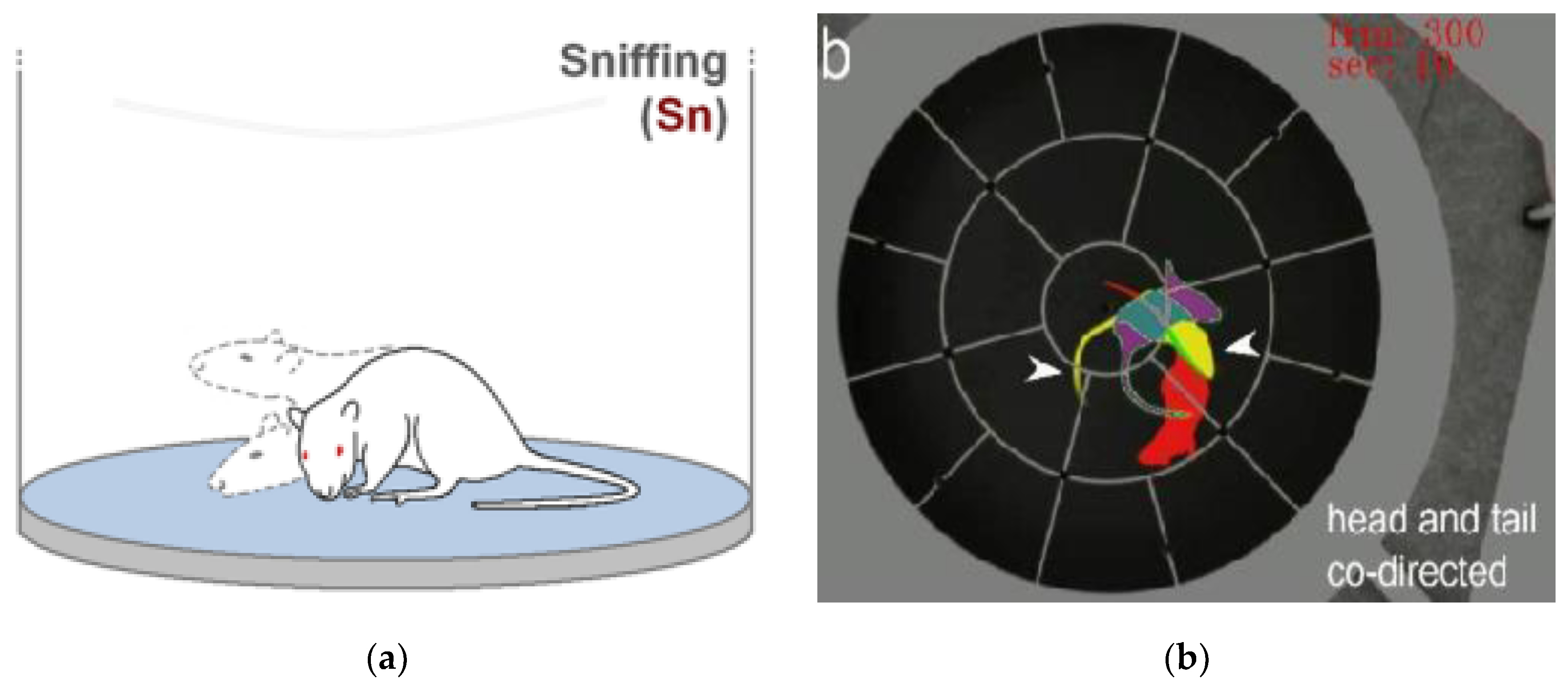 Preprints 138215 g001