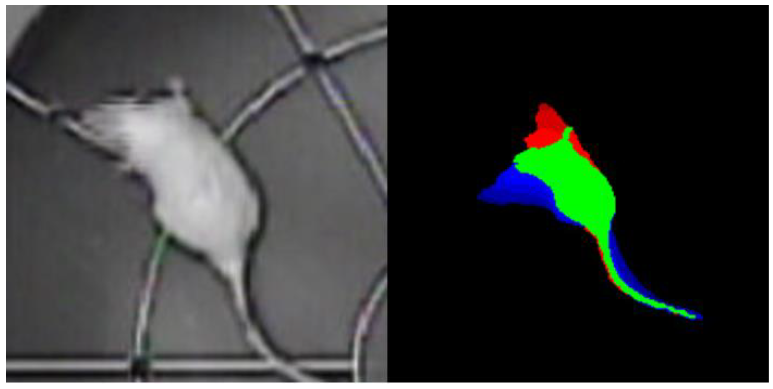 Preprints 138215 g002