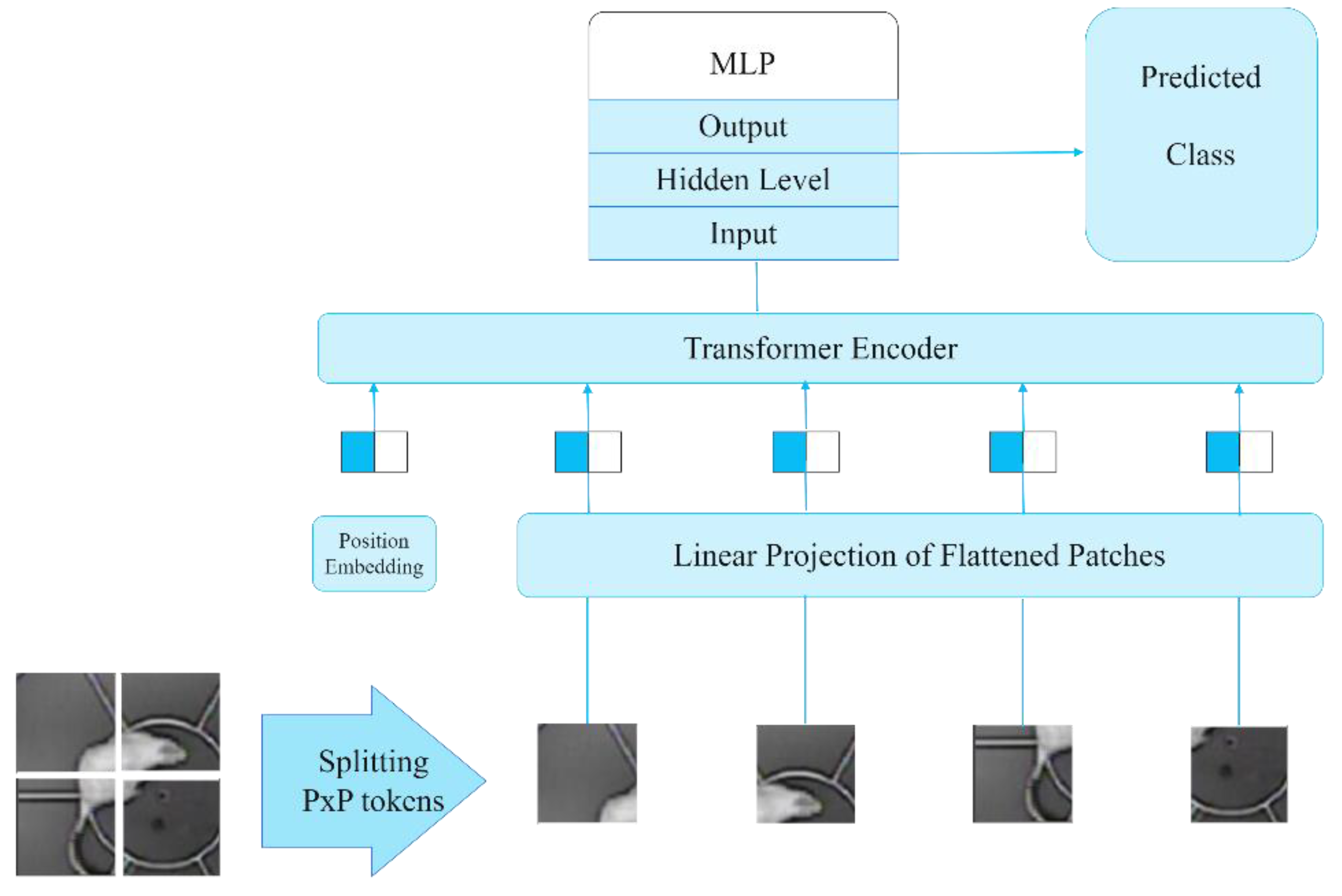 Preprints 138215 g007