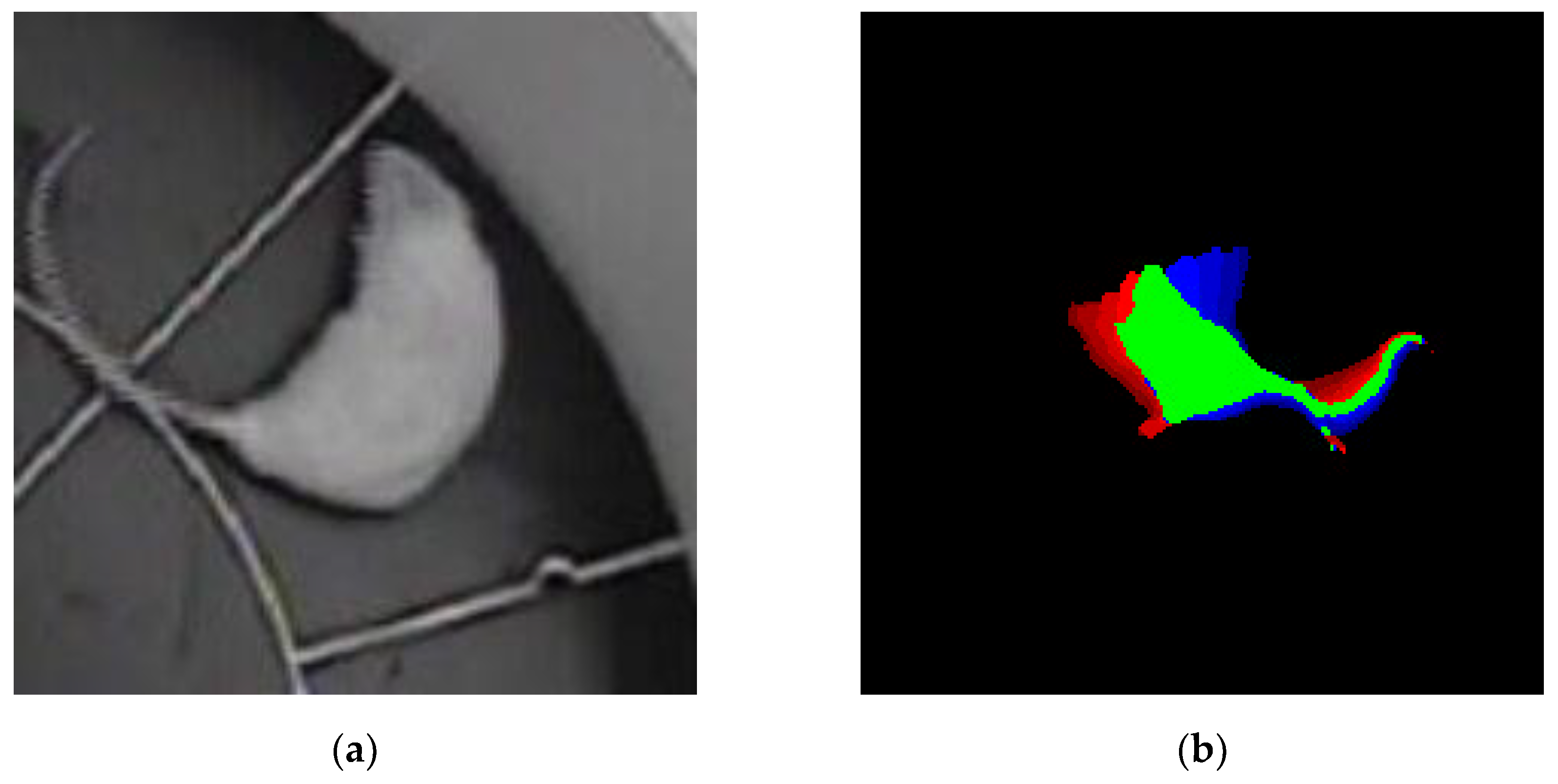 Preprints 138215 g008